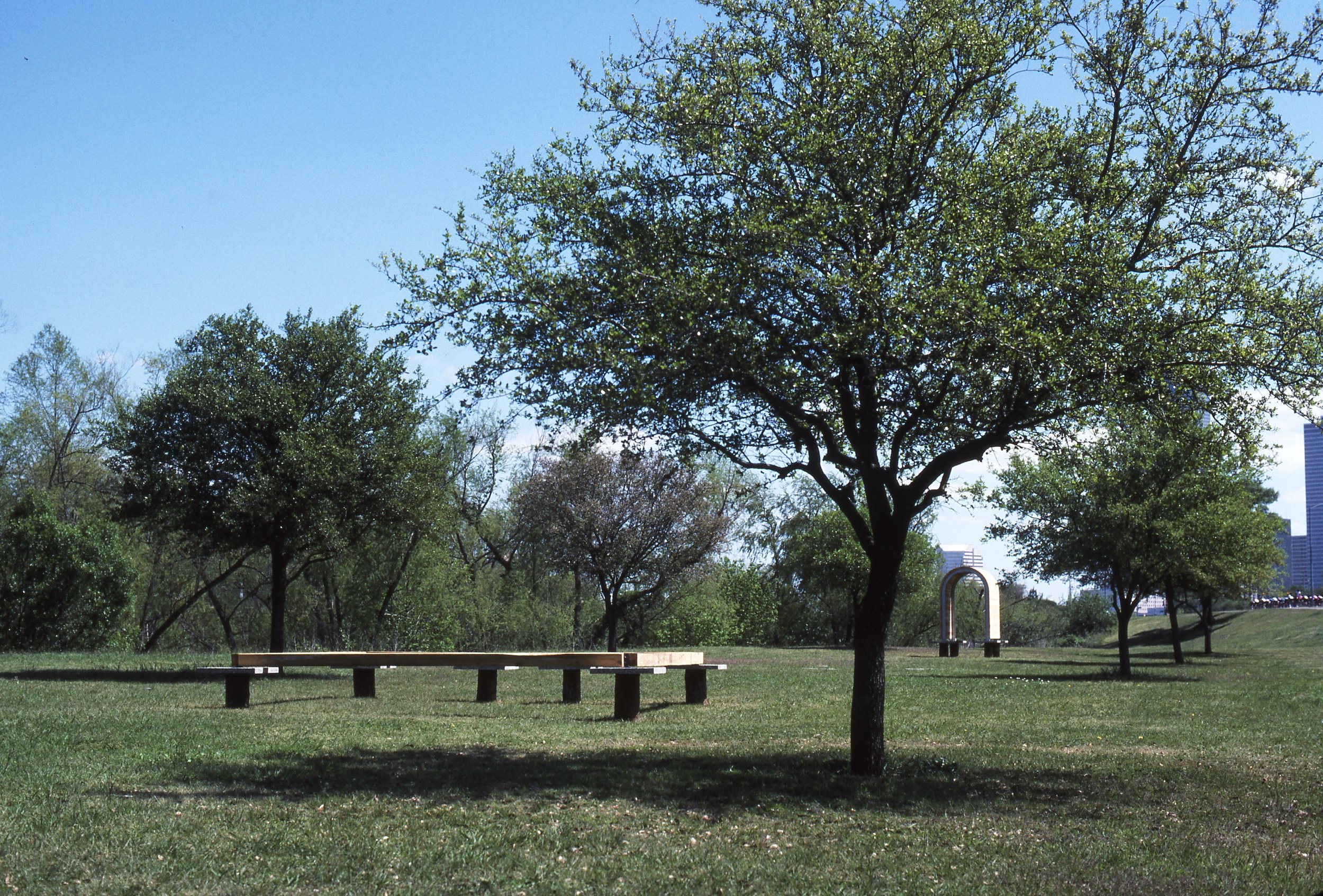 A park with several trees, a grassy field, a wooden bench, and a fountain in the background, with a city skyline in the distance under a clear blue sky.