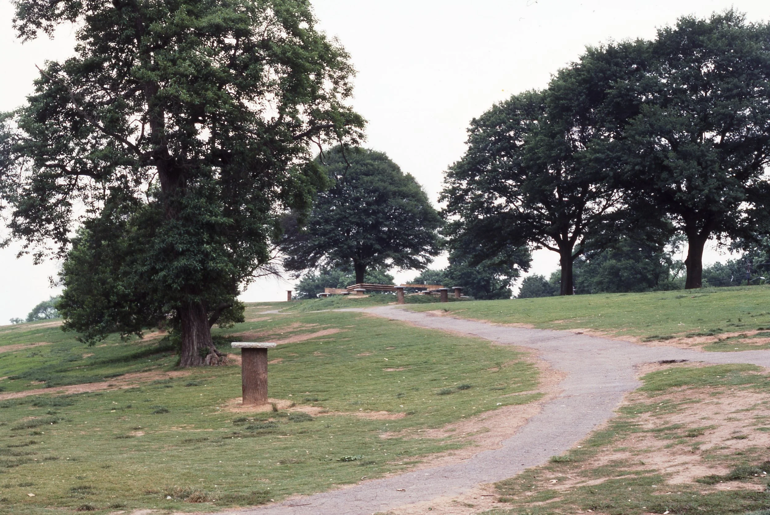 A park with a winding dirt path, several mature trees, and benches in the background.
