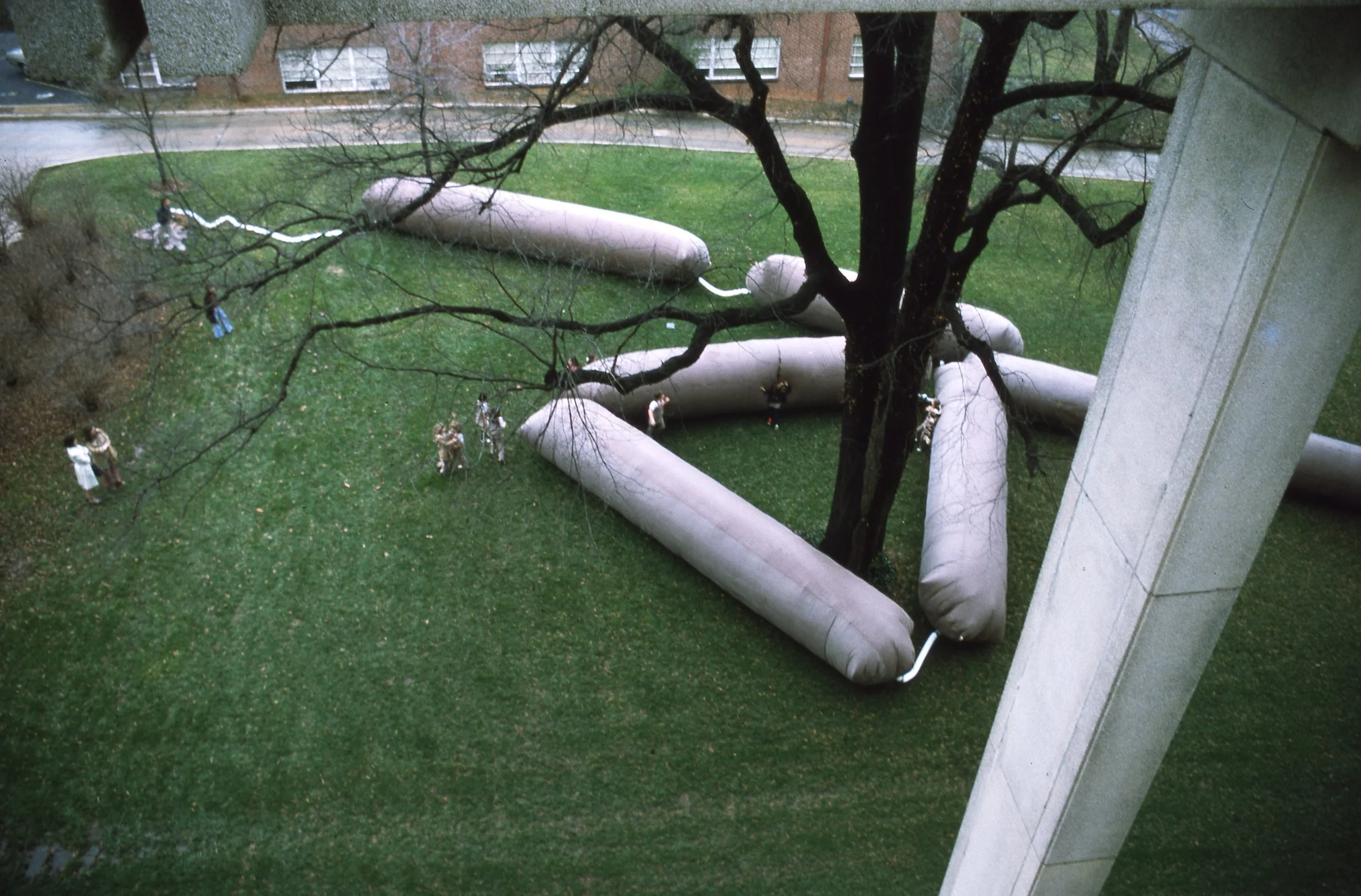 From a high angle, inflatable cushion-like structures surround the base of a large leafless tree on a grassy area. Several people are scattered around, some near the tree and others farther away, on the green lawn.