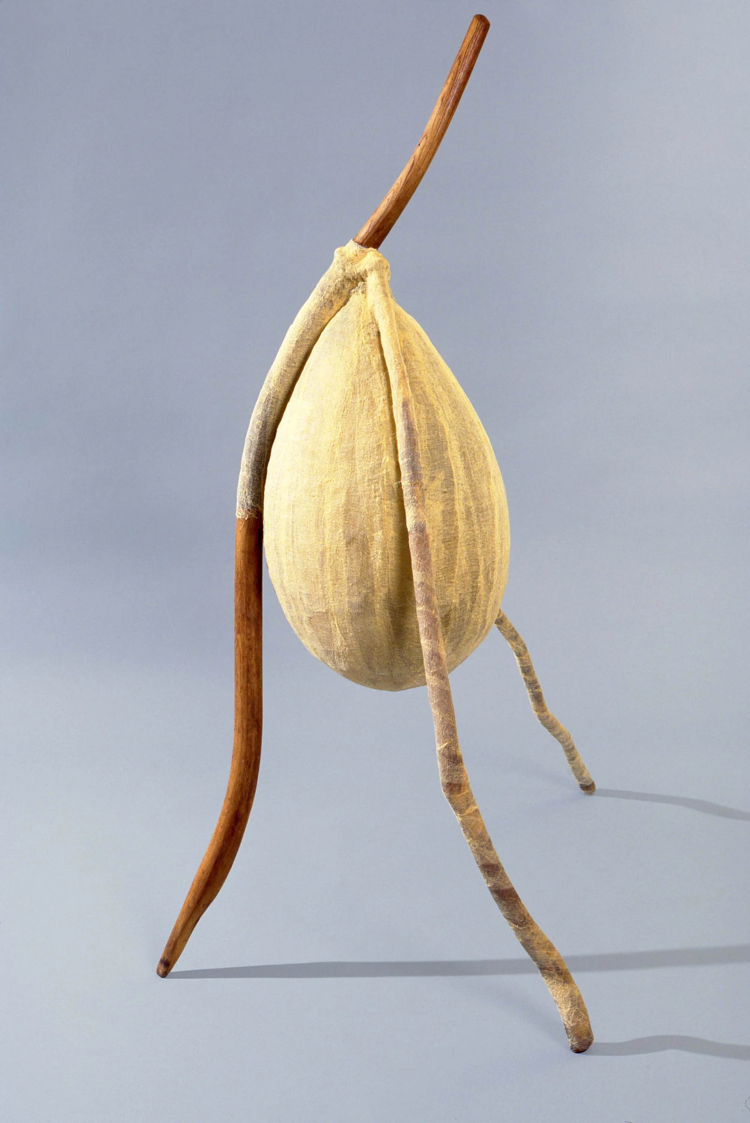 A seed with three thin, curved, twig-like appendages and a larger, rounded central core, resembling a stylized insect or abstract sculpture.
