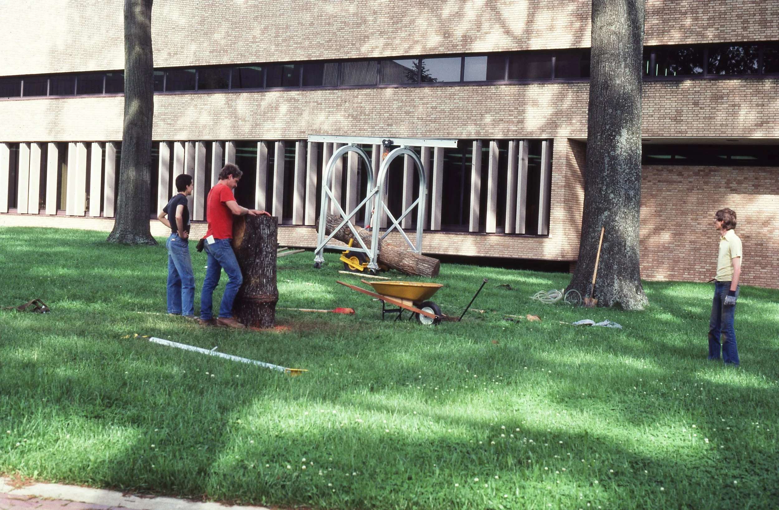 Three young men are cutting down a tree outside a brick building. One is chopping the tree with an axe while the others are nearby, with one standing behind the tree and the other watching from a distance. There are tools and equipment such as a whee