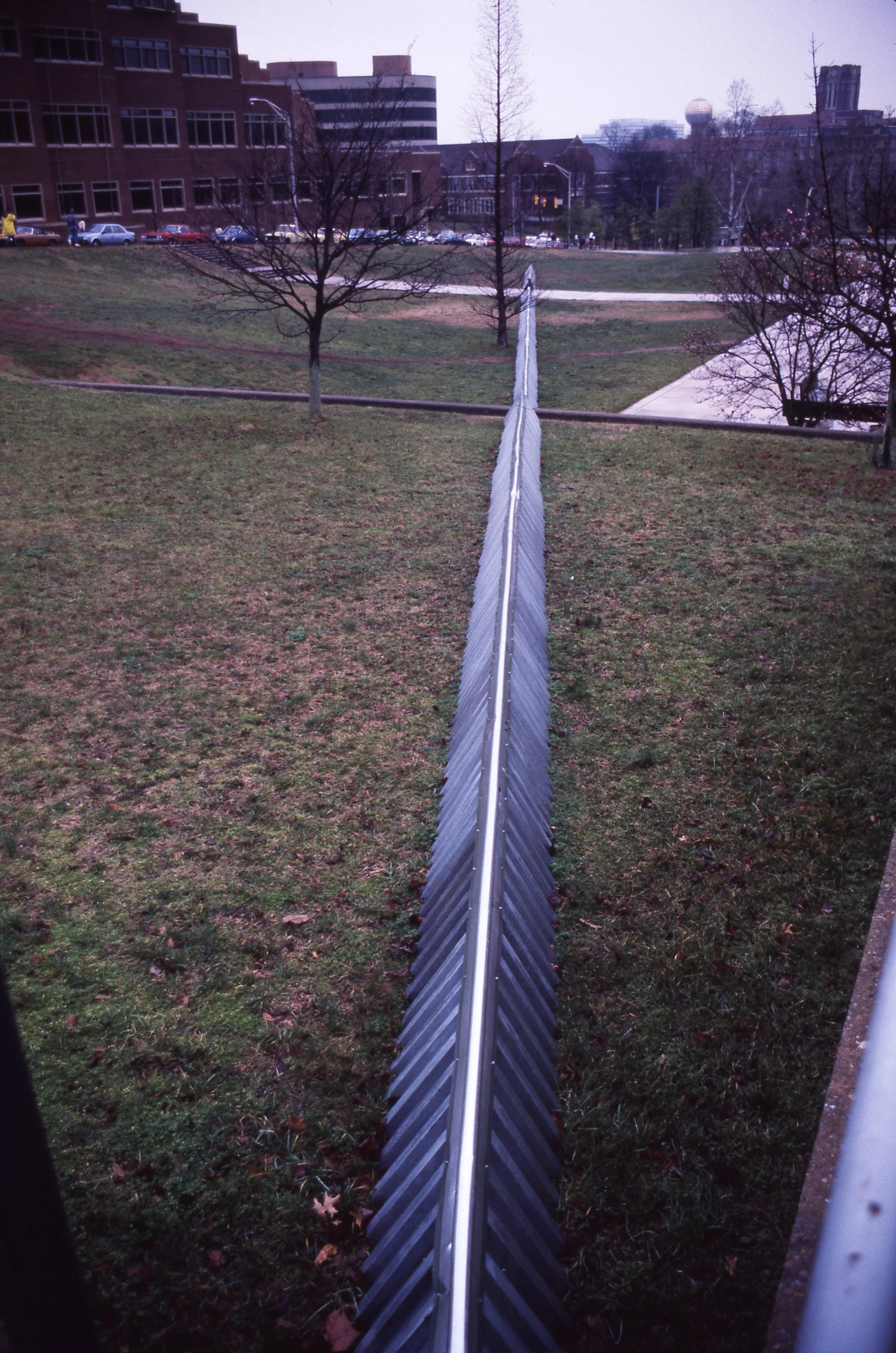A narrow metal fence running through a grassy park area with trees and city buildings in the background.