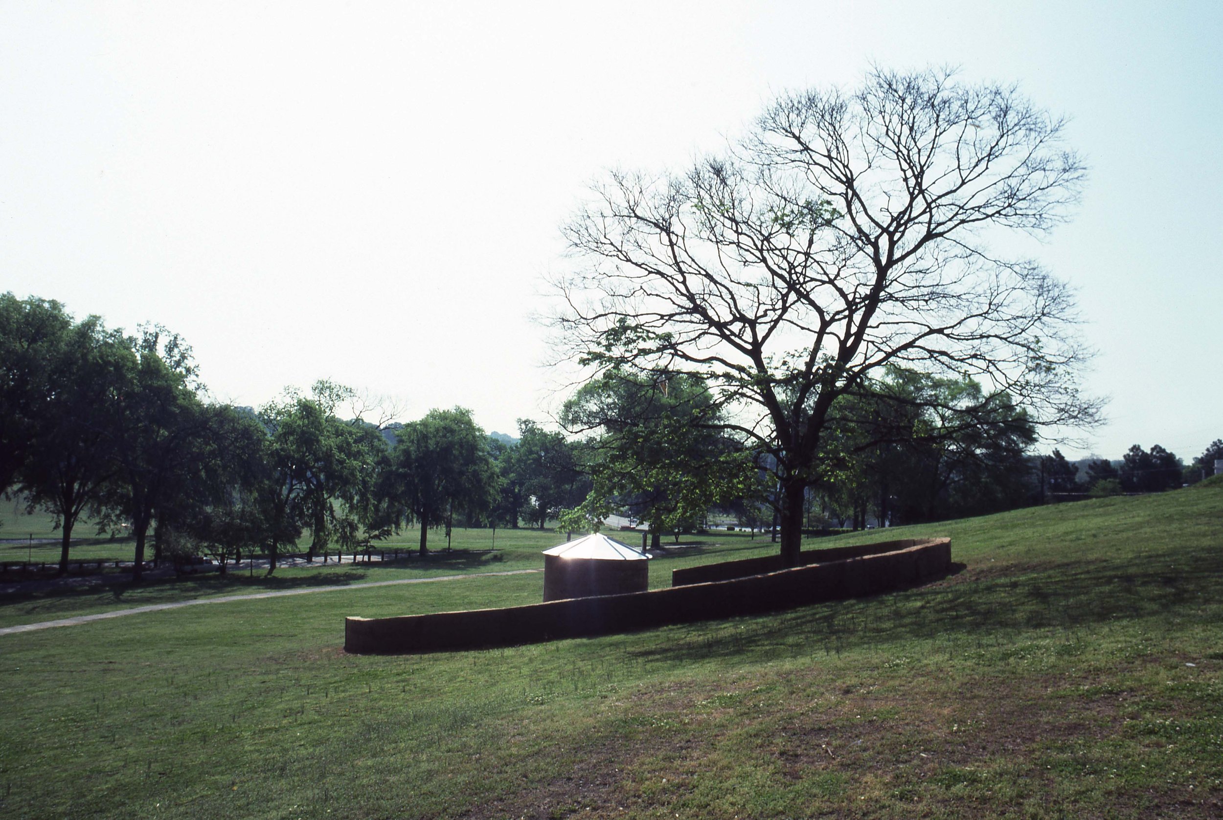 A park with a large leafless tree, grassy hills, and smaller trees in the background, with a small structure, possibly a monument or shelter, near the tree.