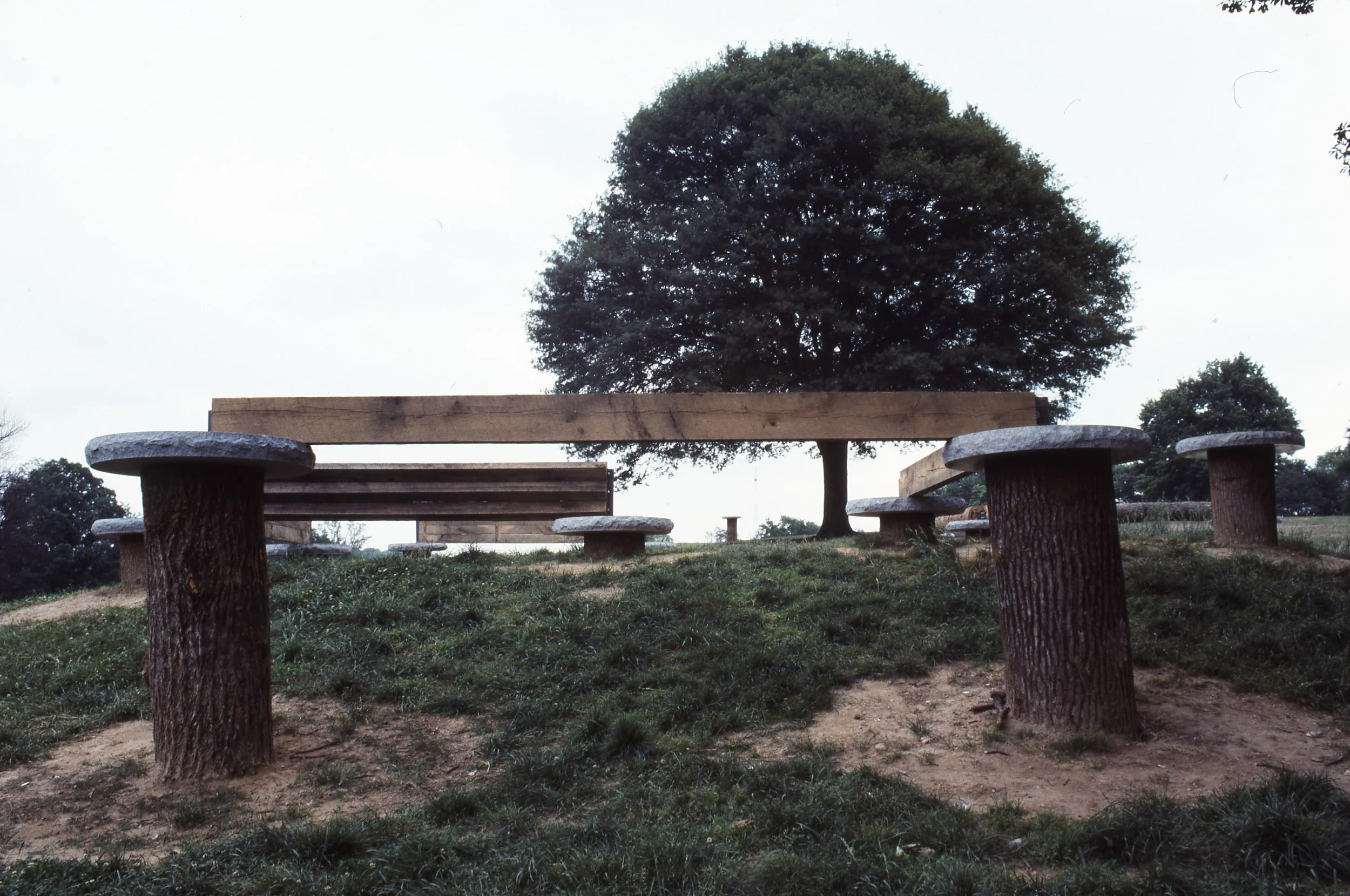 Outdoor park with wooden benches and tables made from logs, grass and dirt ground, large tree in the background, overcast sky.