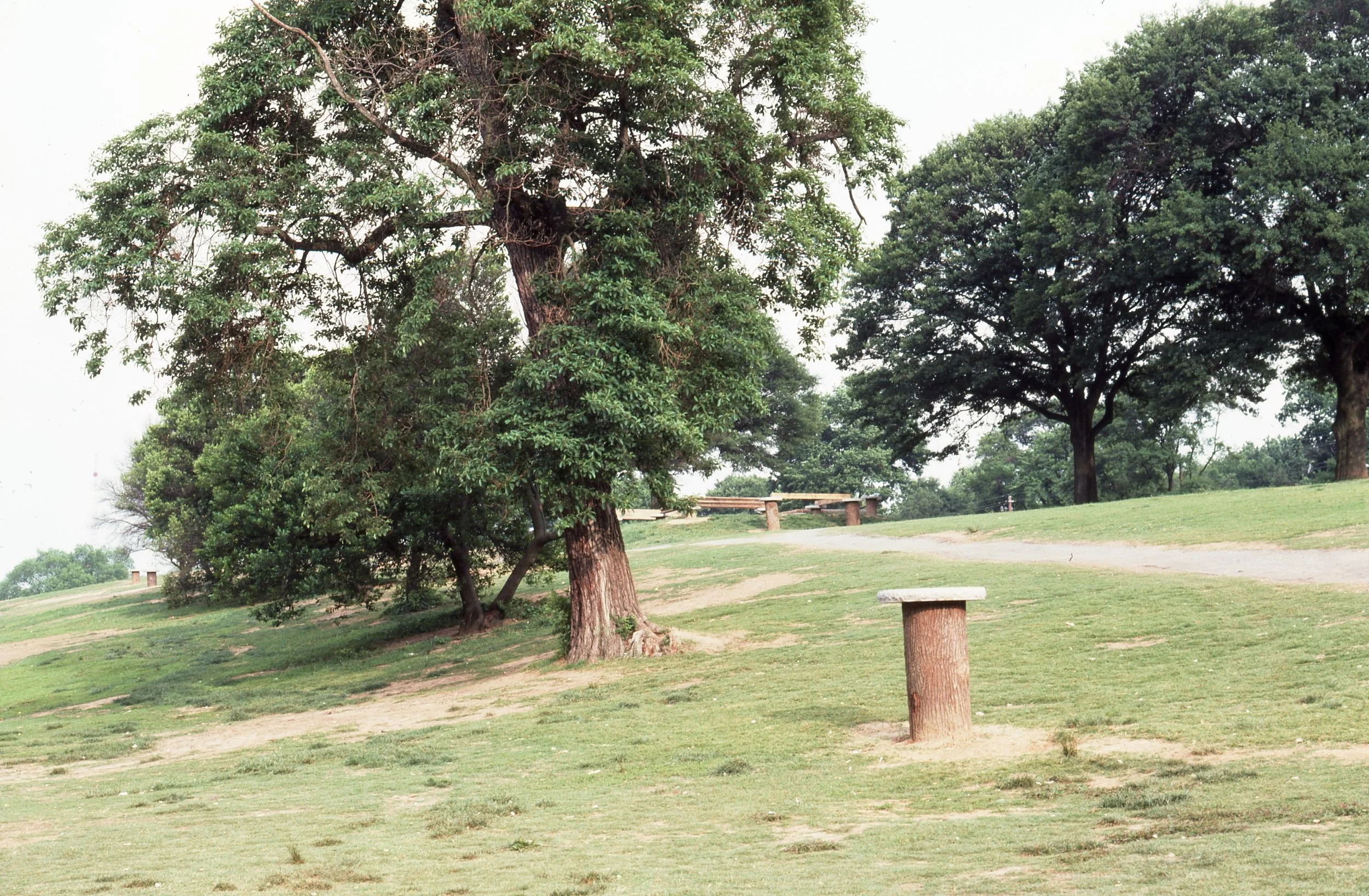 A park scene with green grass, a dirt path, and several trees, some with thick trunks and full leafy canopies.