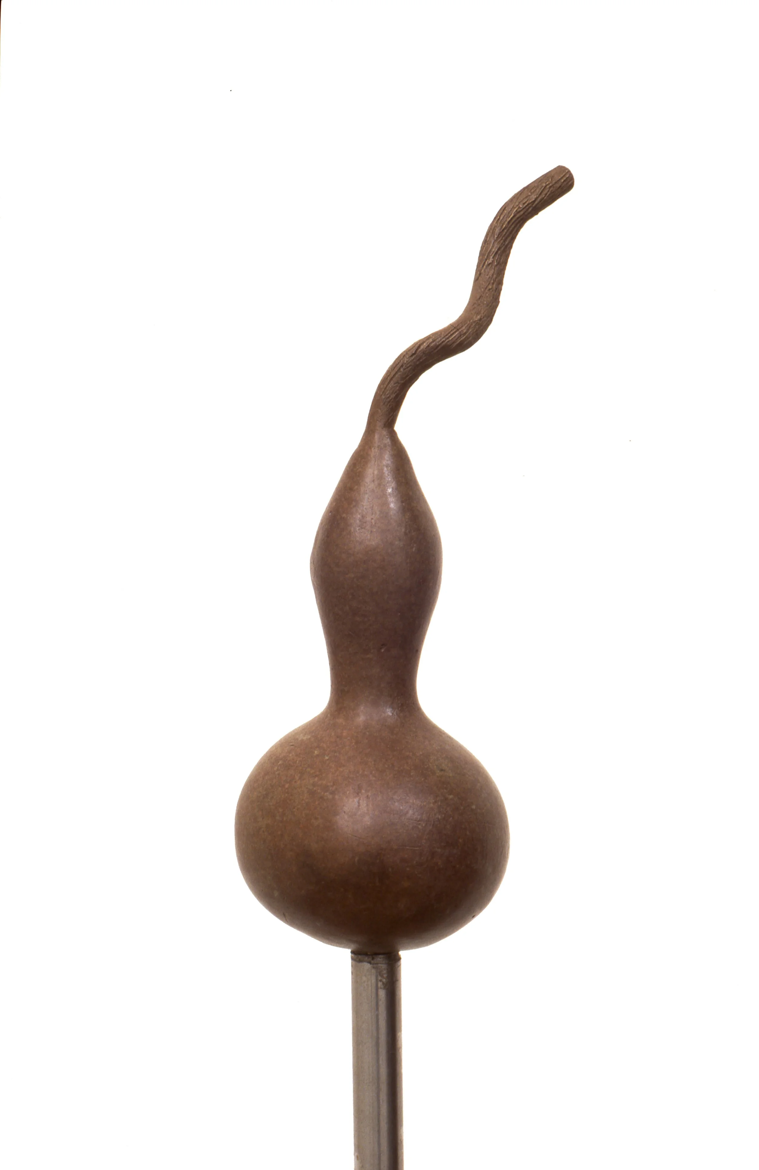 A gourd-shaped object with a long, curving stem, mounted on a metal stand, isolated on a white background.