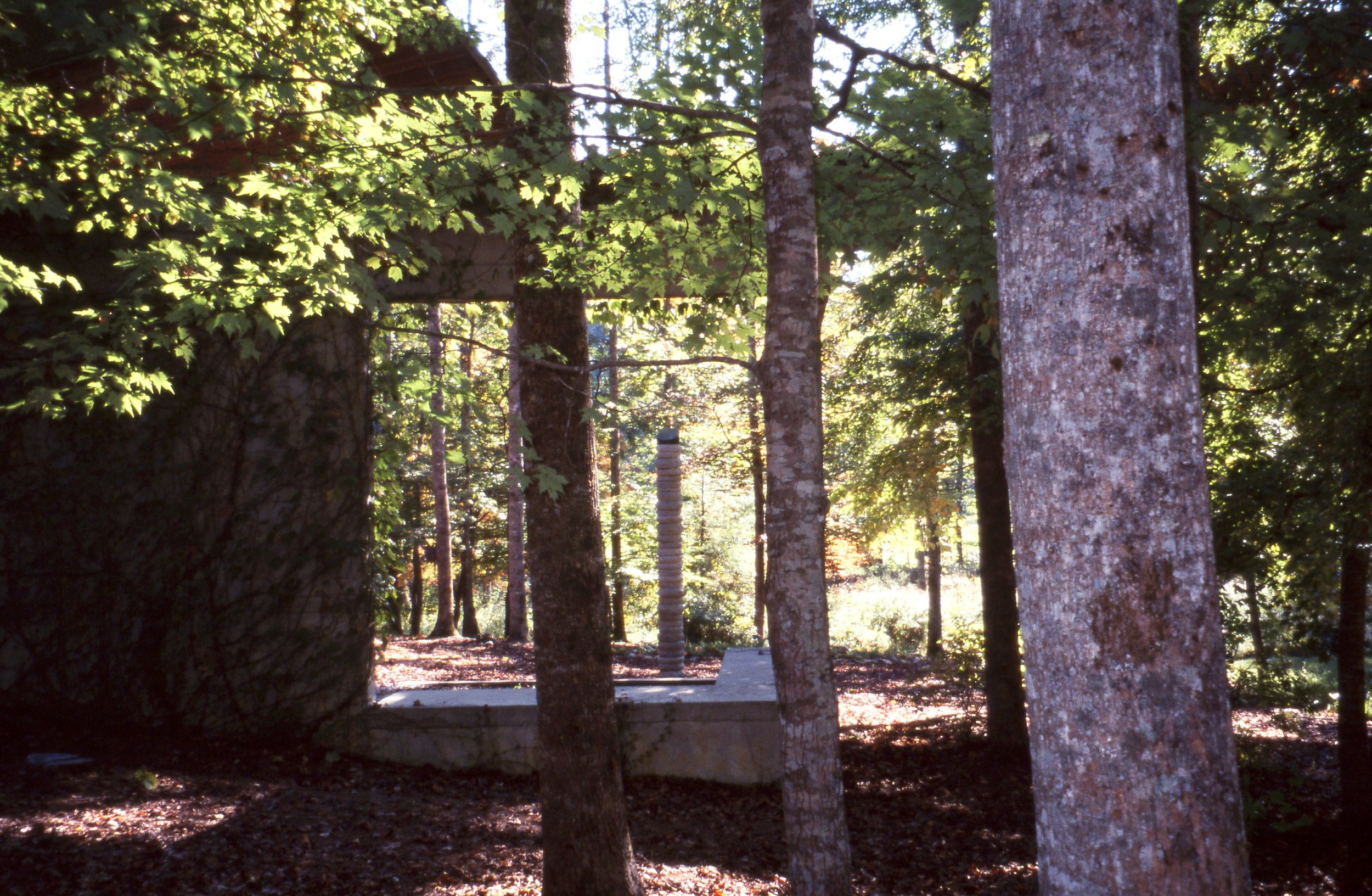 A wooded area with tall trees and sunlight filtering through the leaves. A stone sculpture or monument is partially visible among the trees in the background.
