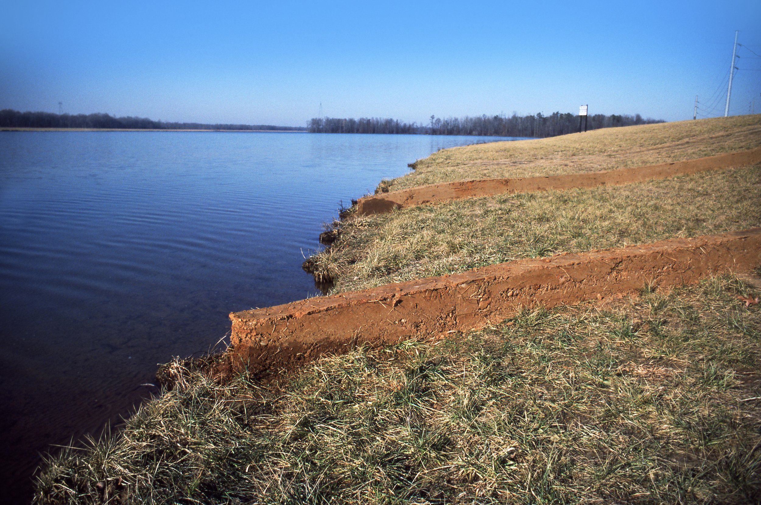 A riverside with a grassy bank and a dirt boundary, with power lines and trees in the distance on a clear day.