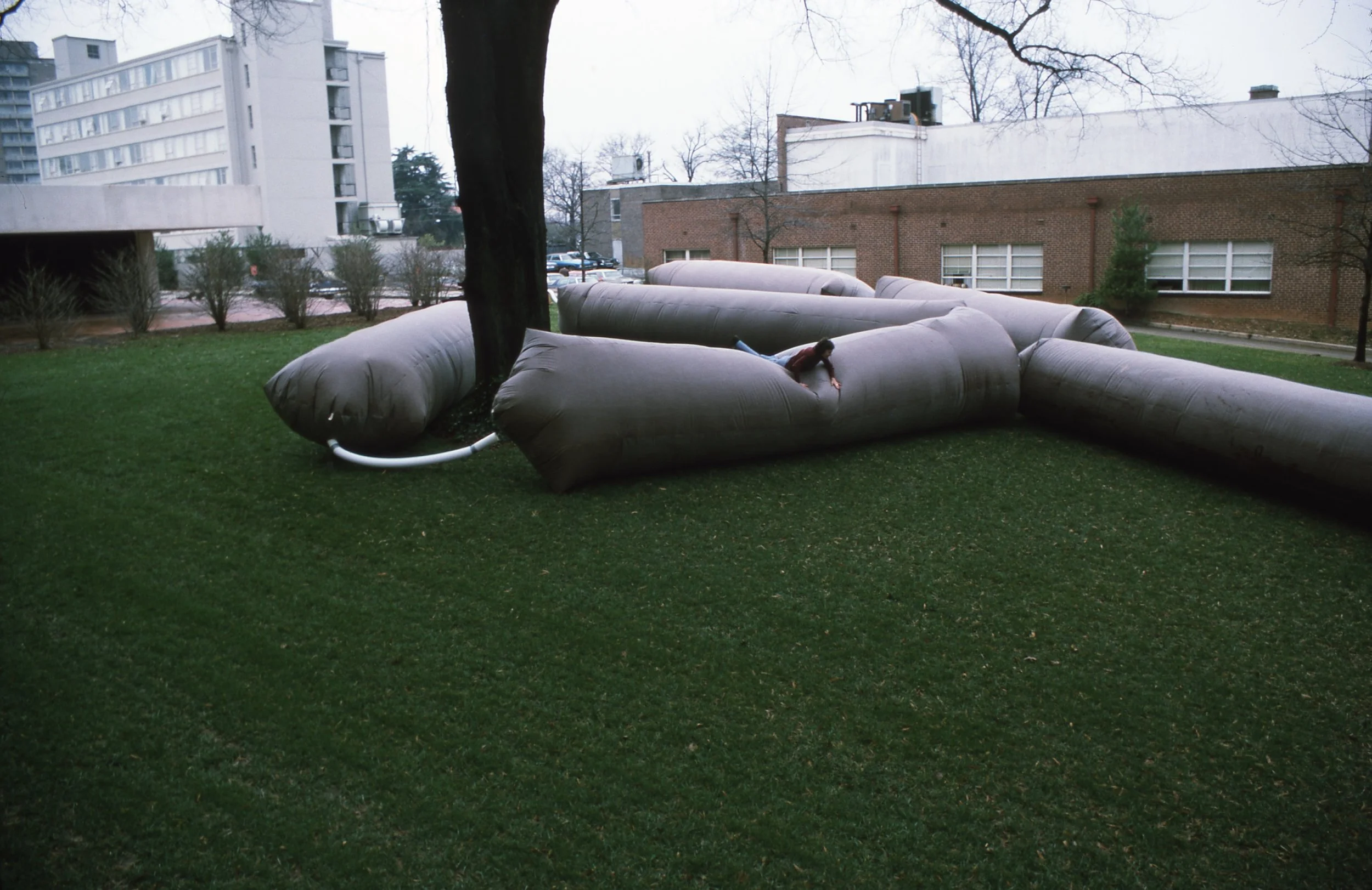 A person crawling on a large inflatable outdoor obstacle course with a tree in the middle on a grassy area, with buildings in the background.