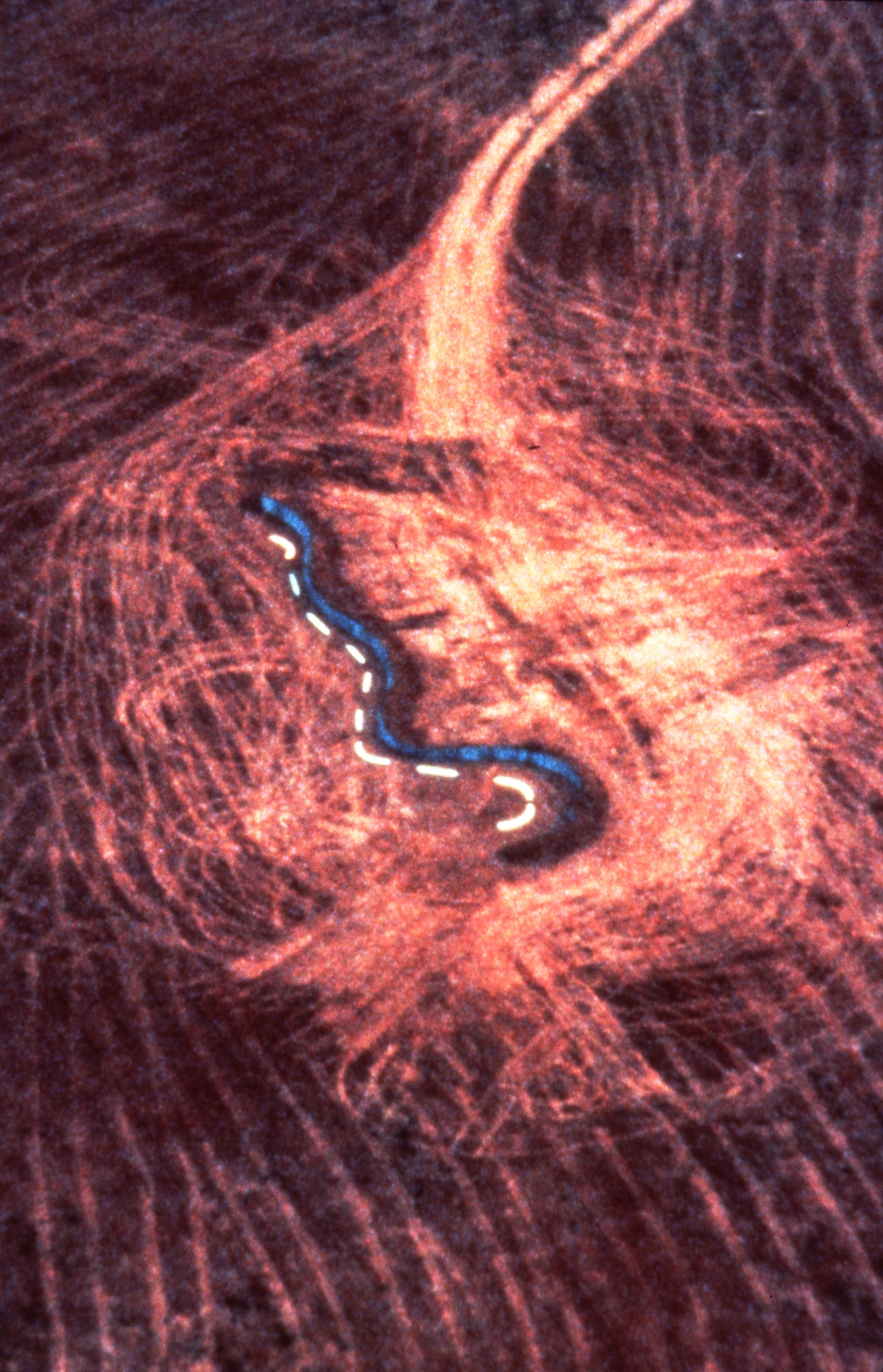 A close-up image of a fingerprint with a line traced along the ridges, highlighting the unique pattern.