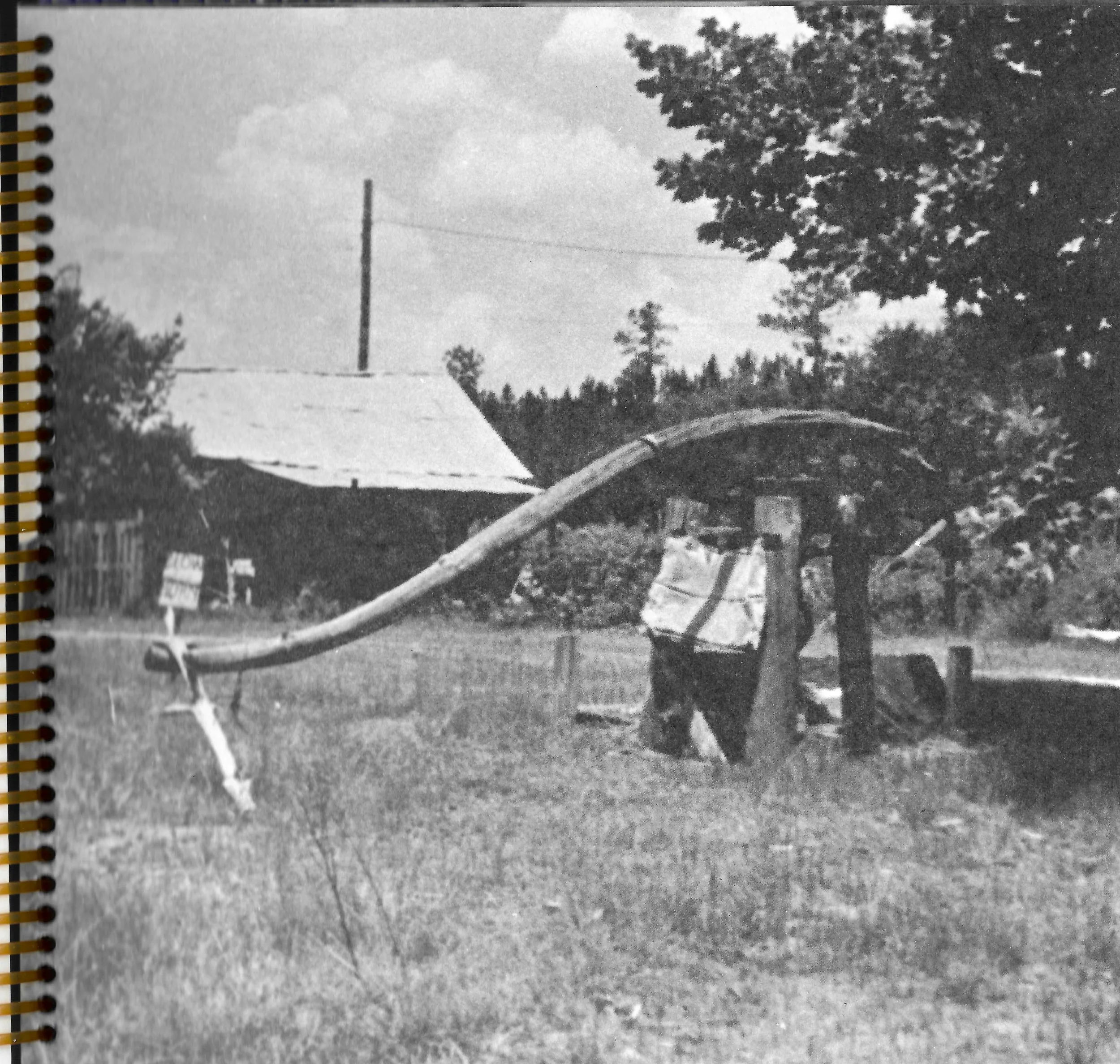 A black and white photograph showing a rural scene with a fallen tree leaning on a small structure. Two people are standing underneath the tree, with one wearing a white shirt and the other in dark clothing. There is a house with a sloped roof and a 