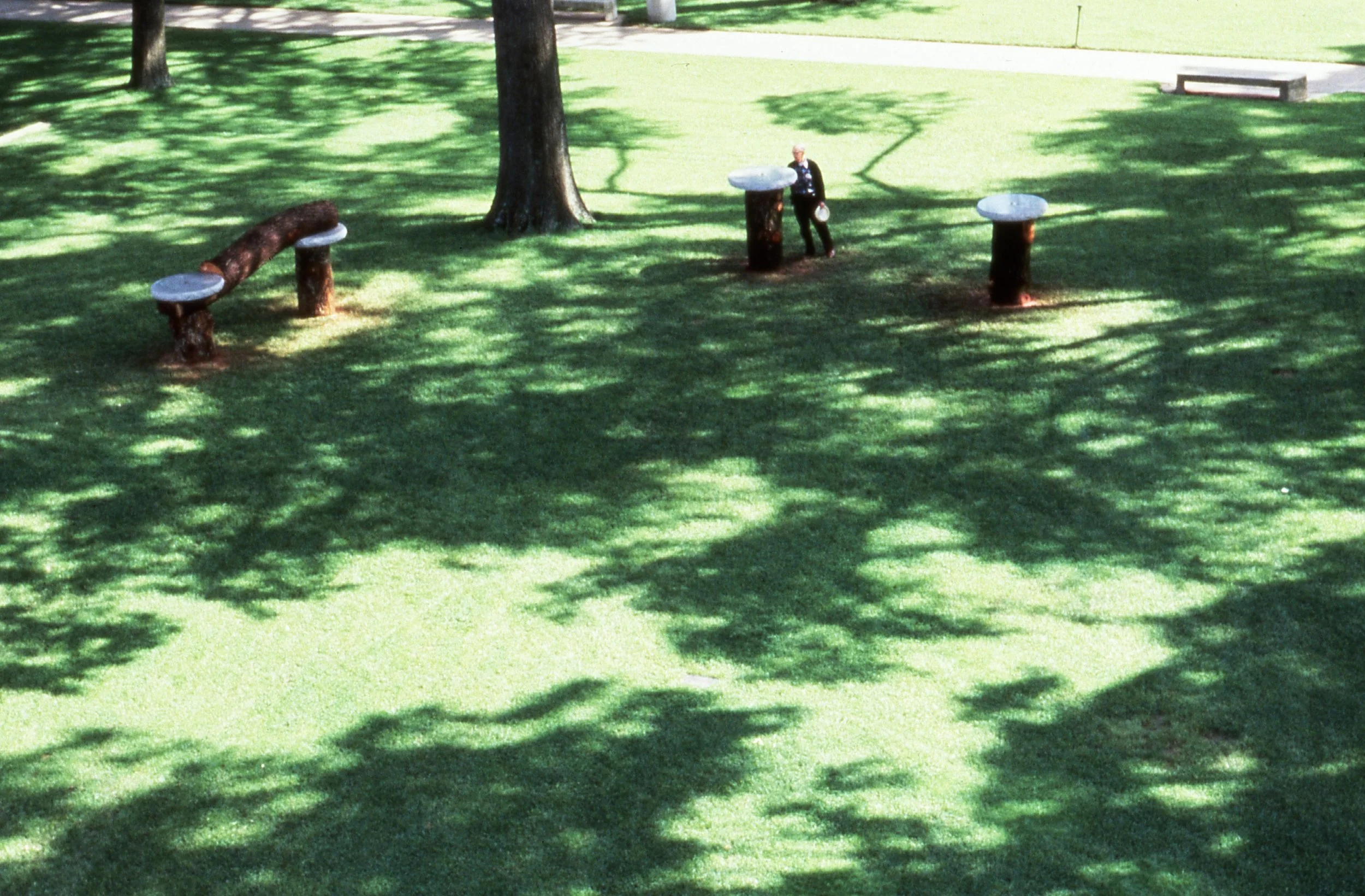 A park with green grass and trees, featuring outdoor fitness equipment including two horizontal bars and two inclined sit-up benches, with a person exercising in the background.