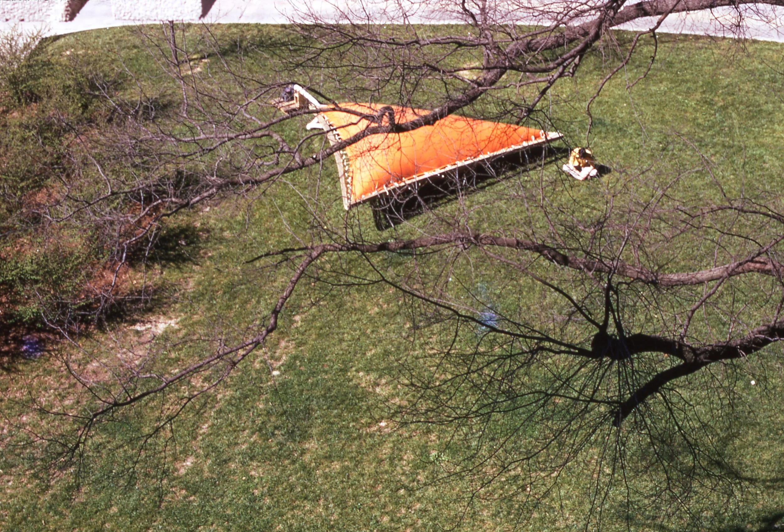 Top-down view of a grassy park with a fallen orange tent and leafless tree branches overhead.