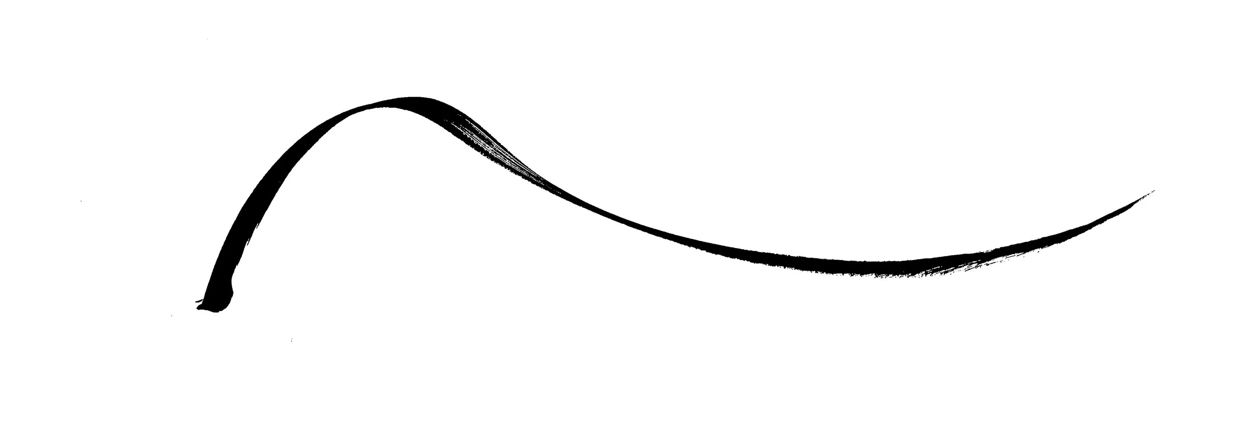 Black ink brush stroke on white background.