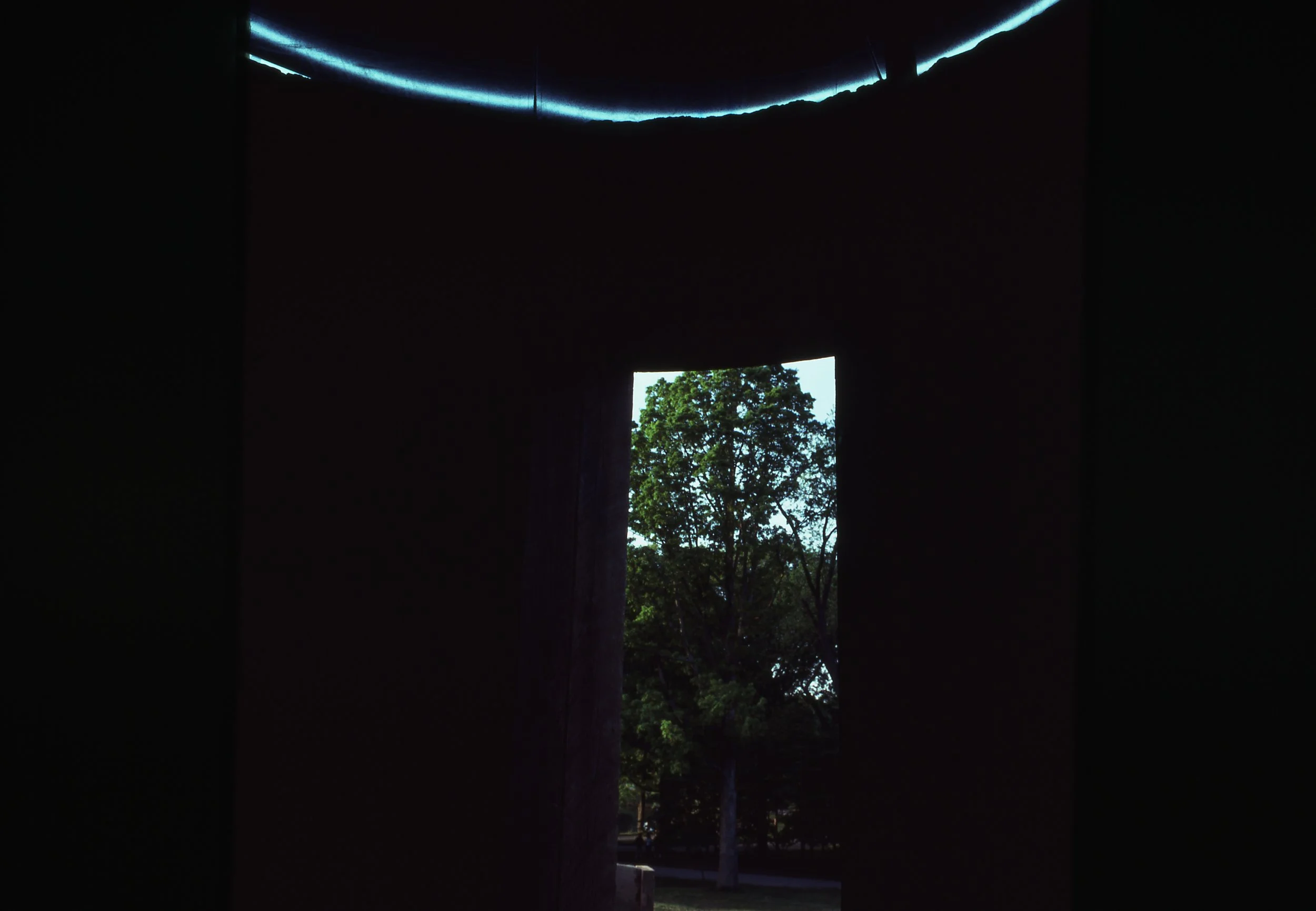 View through a dark doorway showing a tree with green leaves outside, illuminated by daylight.