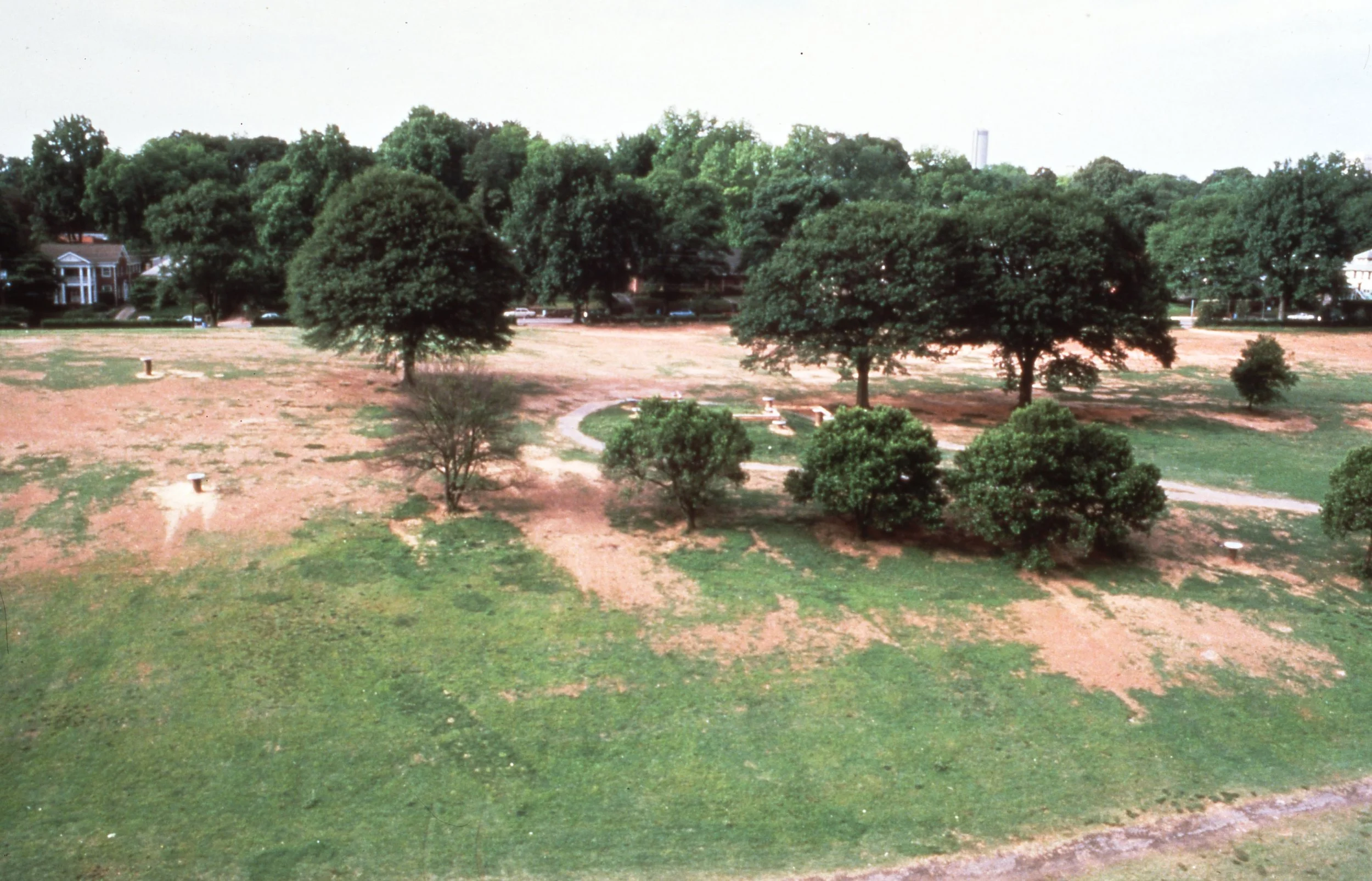 A park with green grass, several large trees, smaller bushes, and walking paths.