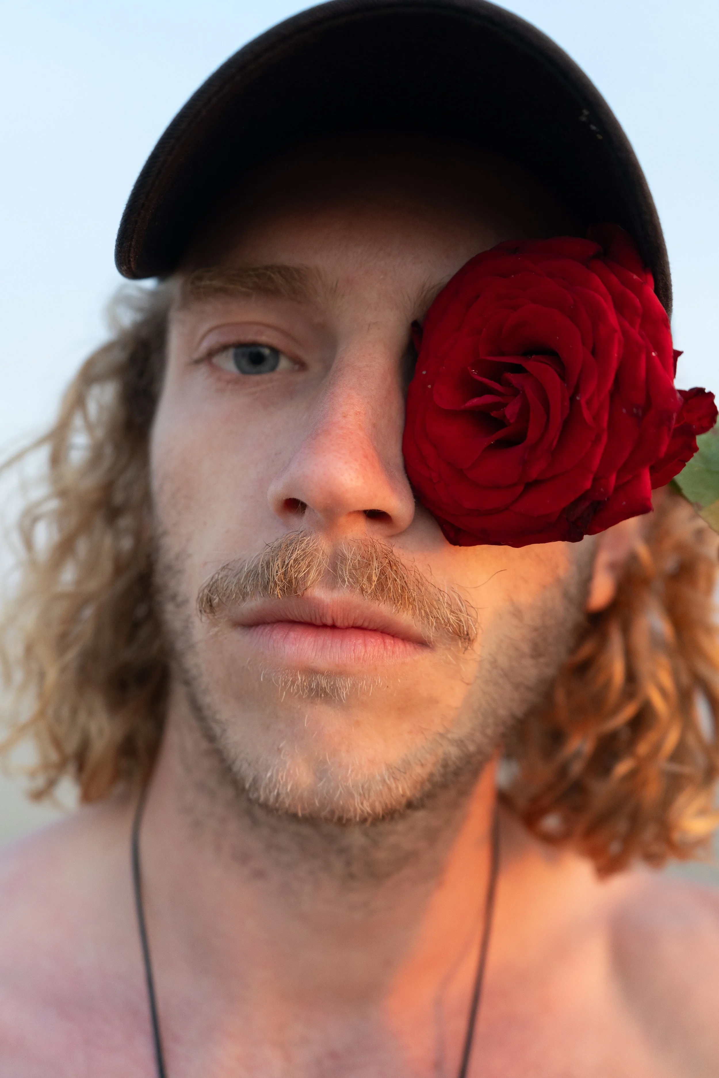 HEURE DORÉE SUR MARIUS