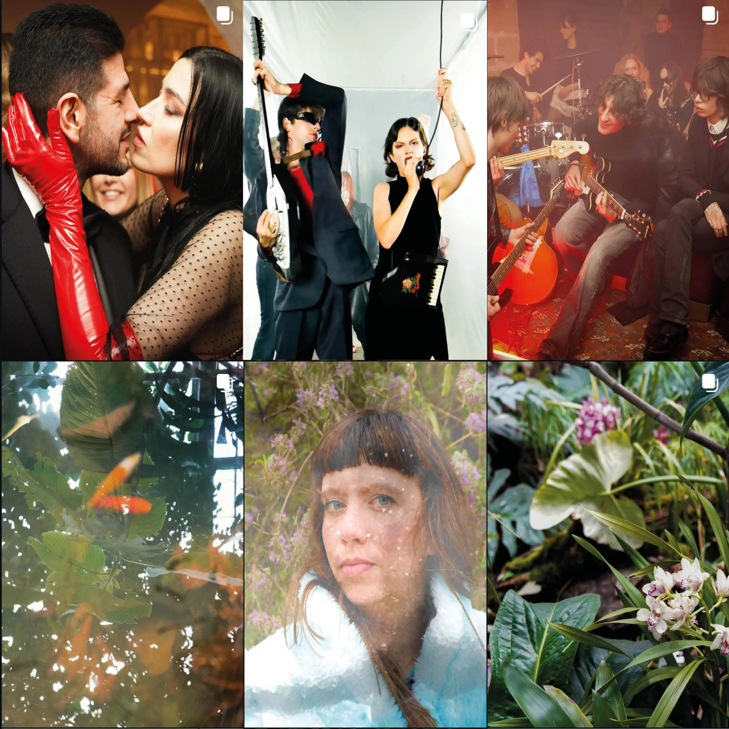 Collage de six images montrant différentes scènes : un couple qui s'apprête à s'embrasser, deux femmes chantant et jouant de la musique lors d'une fête, un groupe de personnes jouant de la musique dans un salon, un poisson nageant dans l'eau végétale, une femme avec des fleurs dans les cheveux dans un environnement floral, et un gros plan de plantes avec des fleurs.