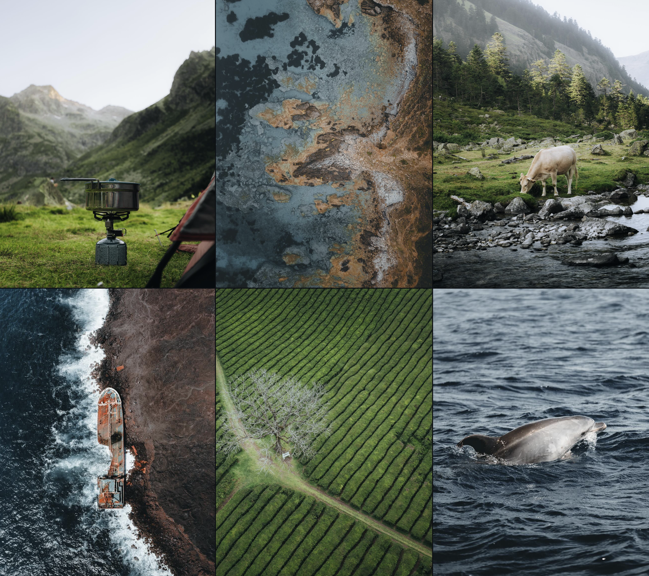 Une collection de six images représentant divers paysages naturels : un campement avec un réchaud dans une vallée montagneuse, une surface de terre rouillée, un animal domestique dans un environnement de rivière, un bateau échoué sur un rivage rocheux, un champ agricole avec des rangées de cultures et un cachalot nageant dans l'océan.
