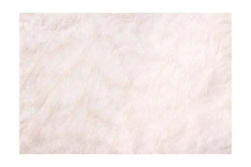 SIS+ Resorbable Tissue Patch