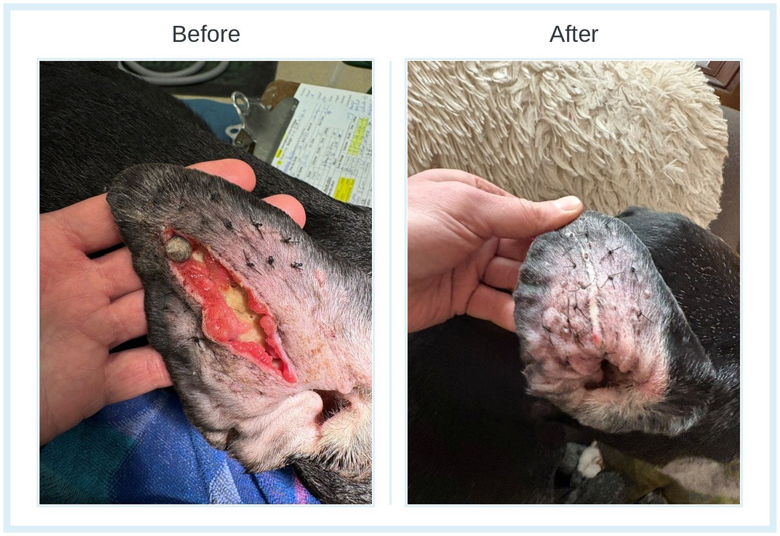 before_after_squarespace.jpg