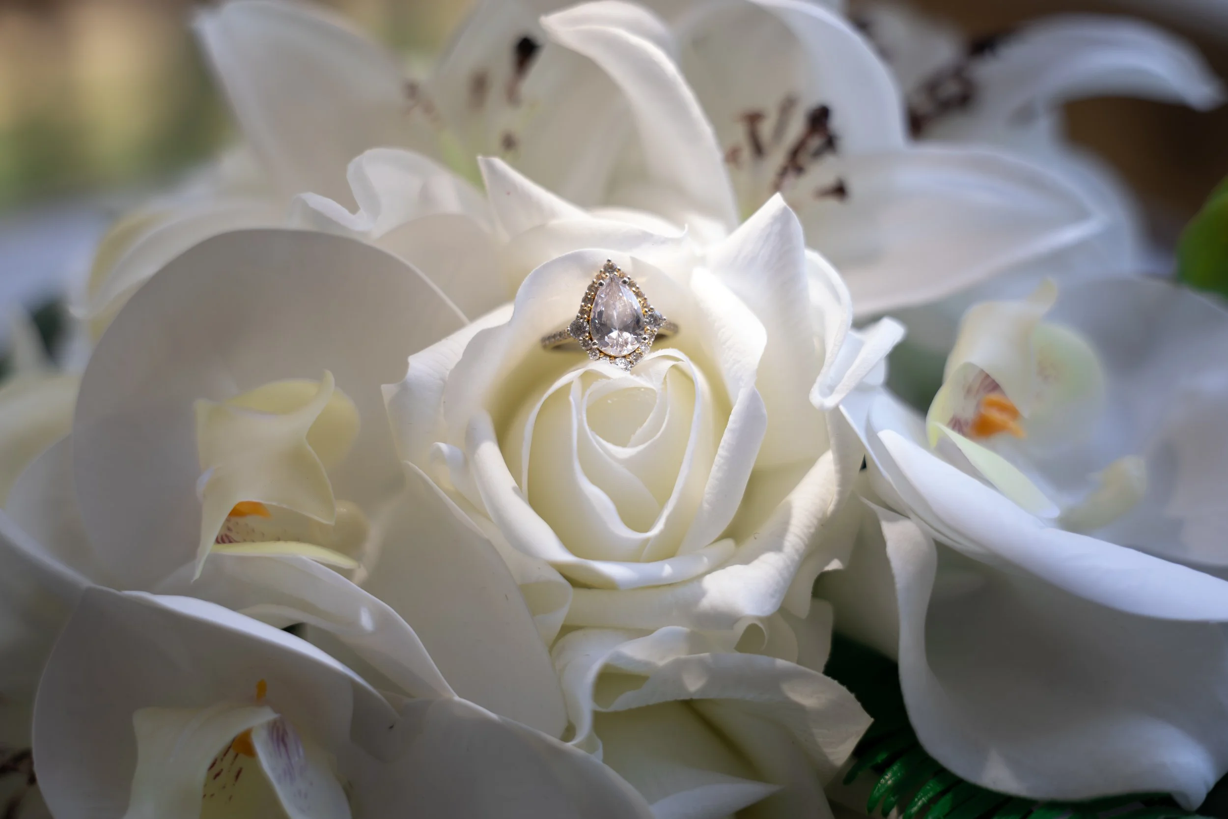Taylor & Austin Wedding-30.jpg