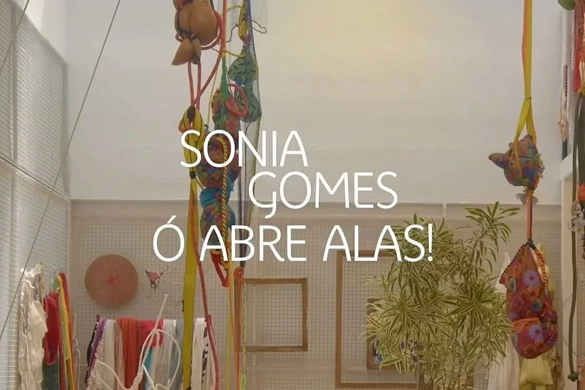 Storm King Art Center / Sonia Gomes