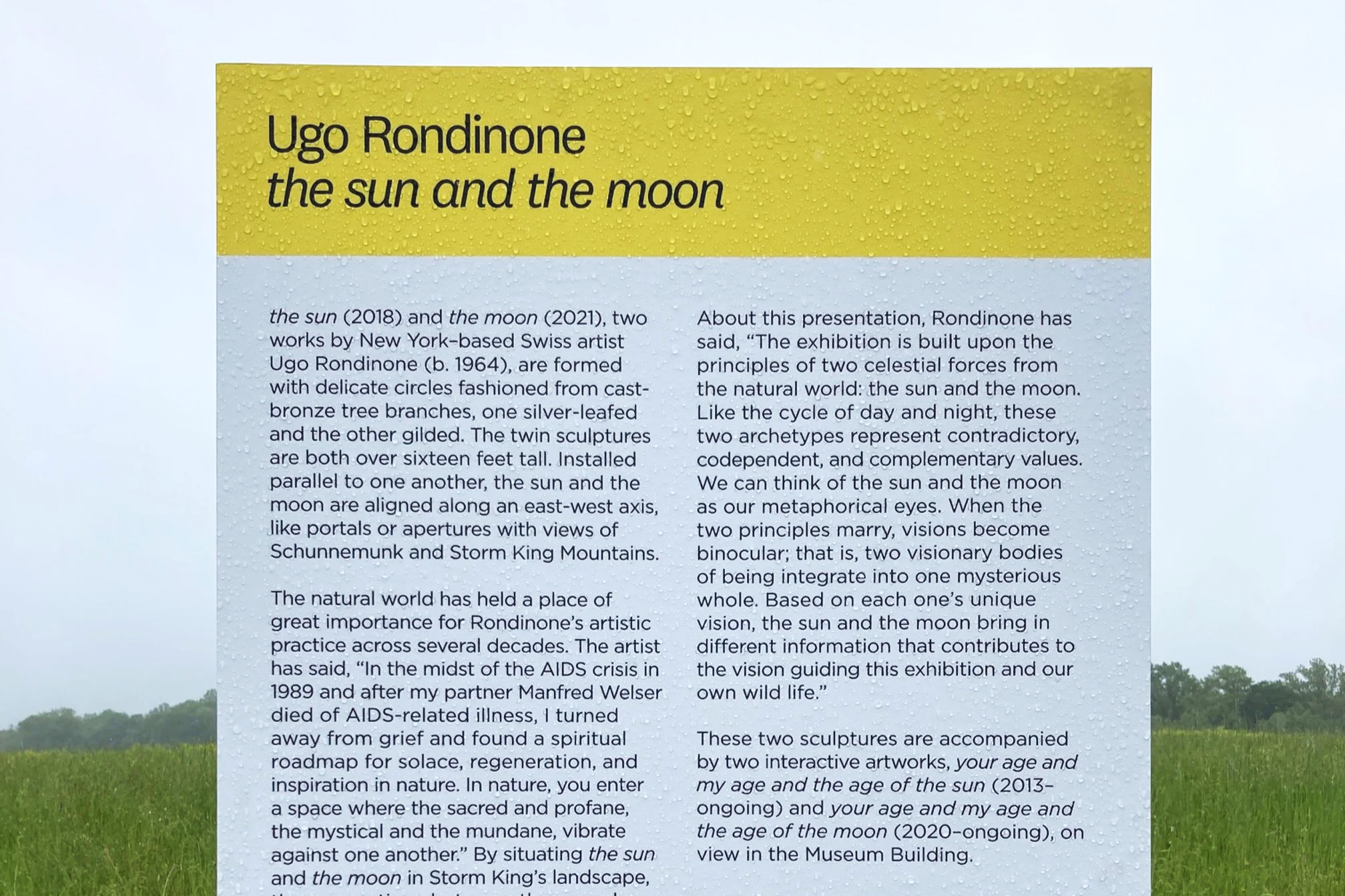 Storm King Art Center / Ugo Rondinone