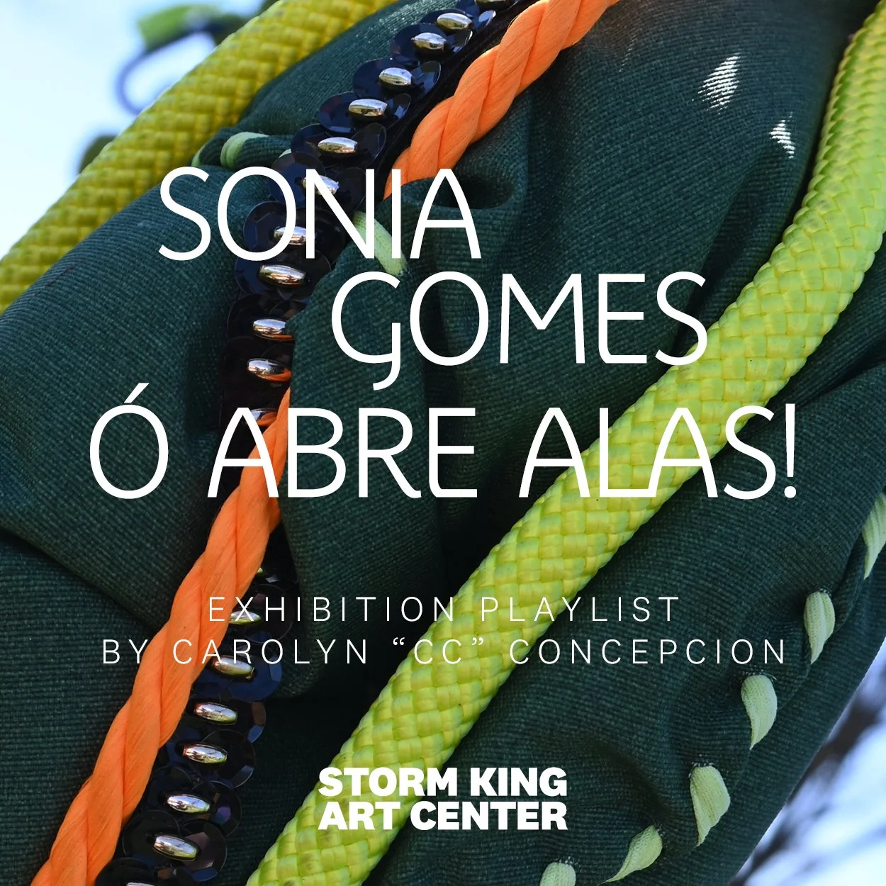 Spotify Playlist Cover