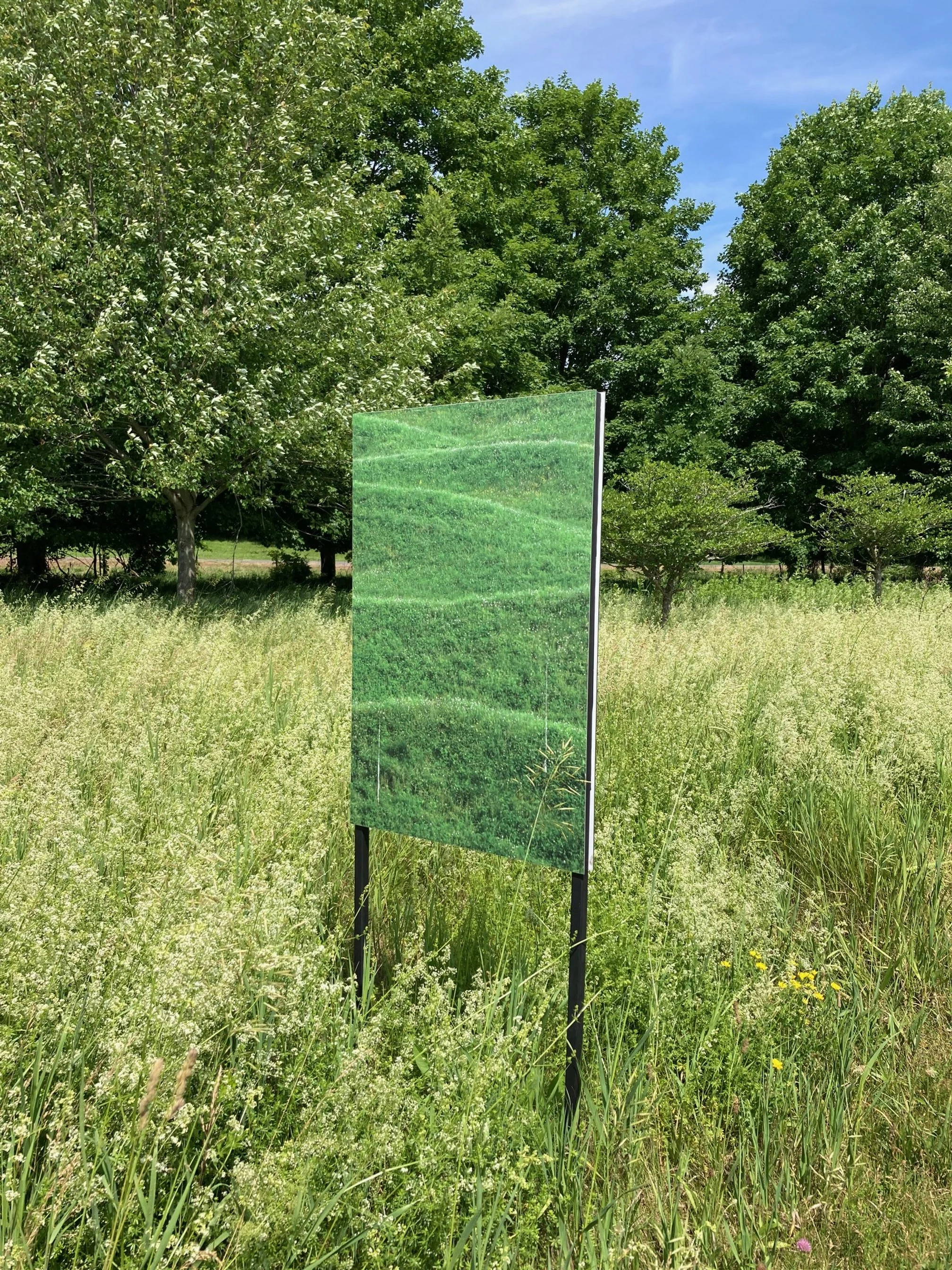 Maya Lin 'Storm King Wavefield' Sign Reverse