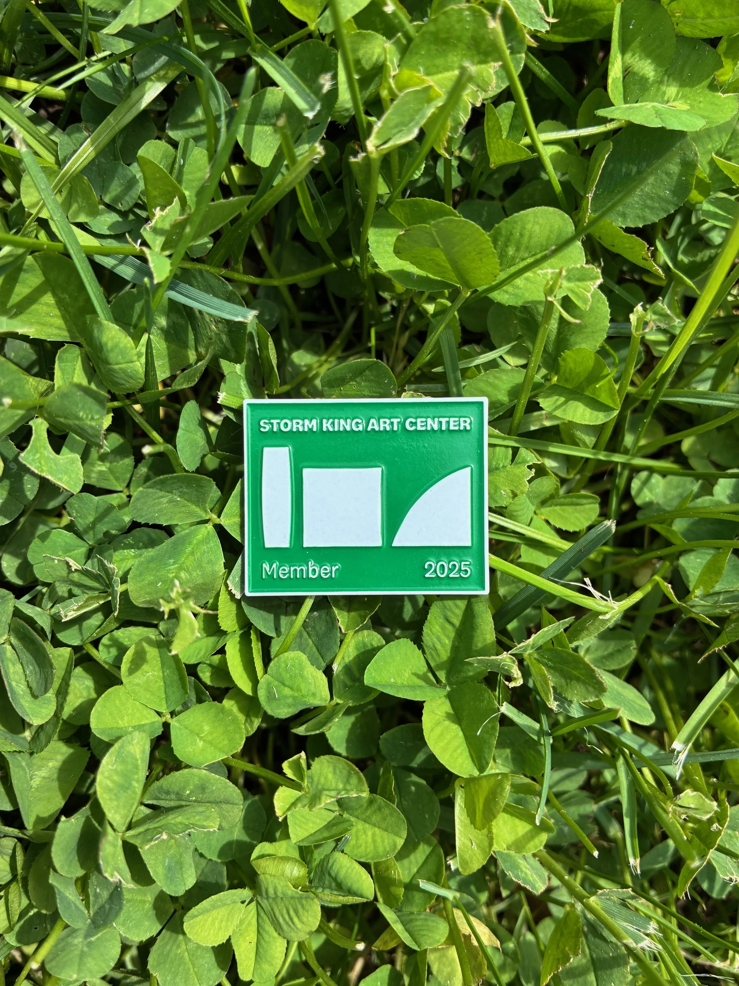 Storm King Art Center / Ellsworth Kelly Pin