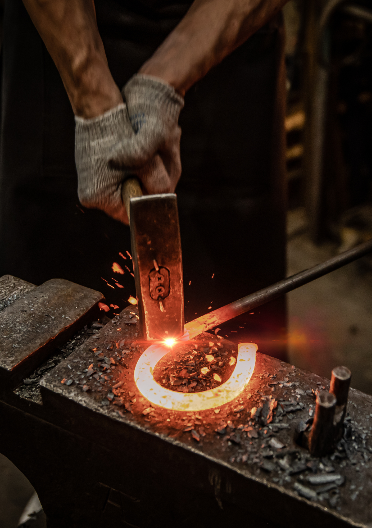 Untitled design (31).png
