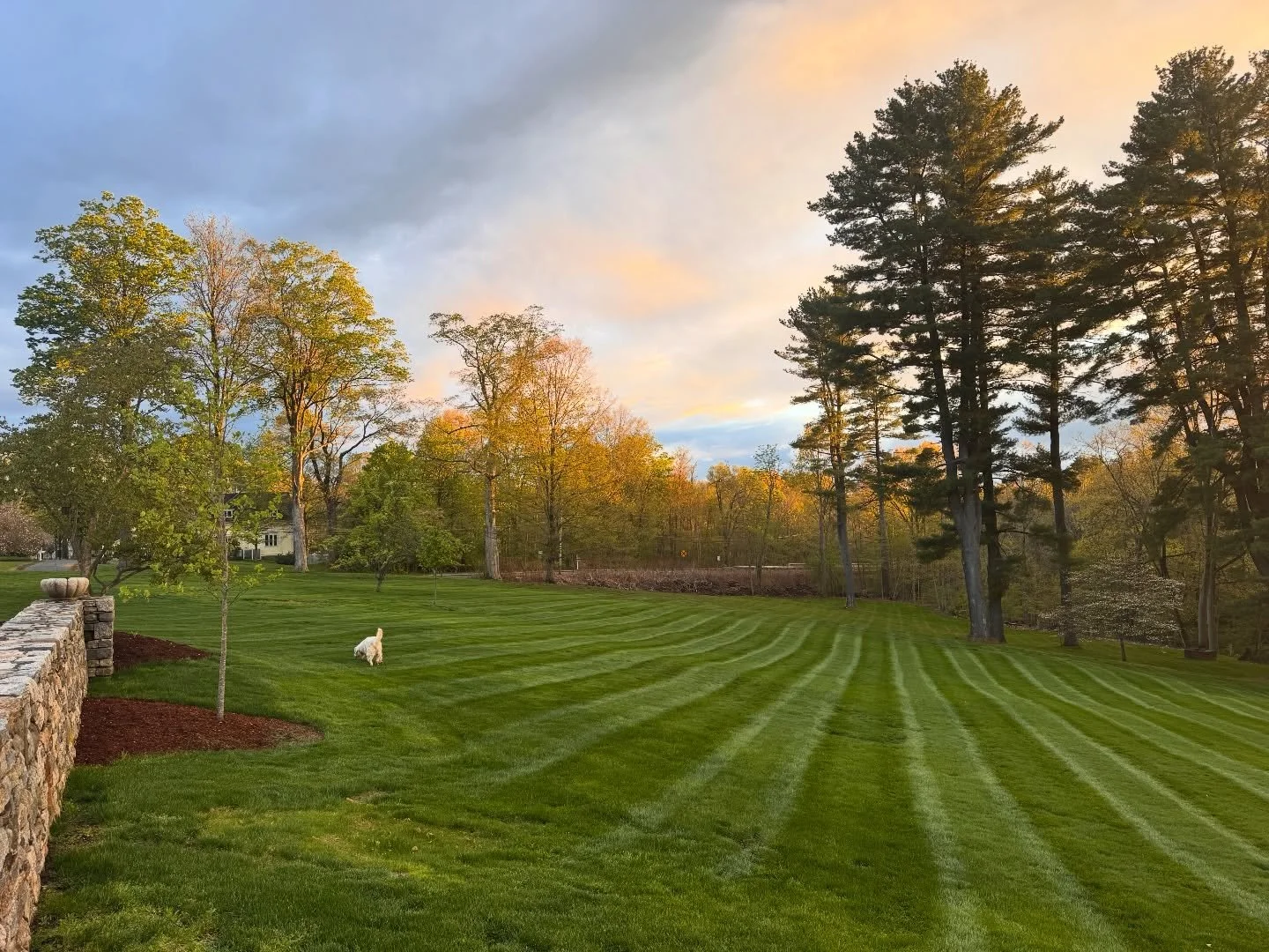 Spring evenings @twobellsct ✨🌷🌅 

#twobellsct #ct #venue #historichomes