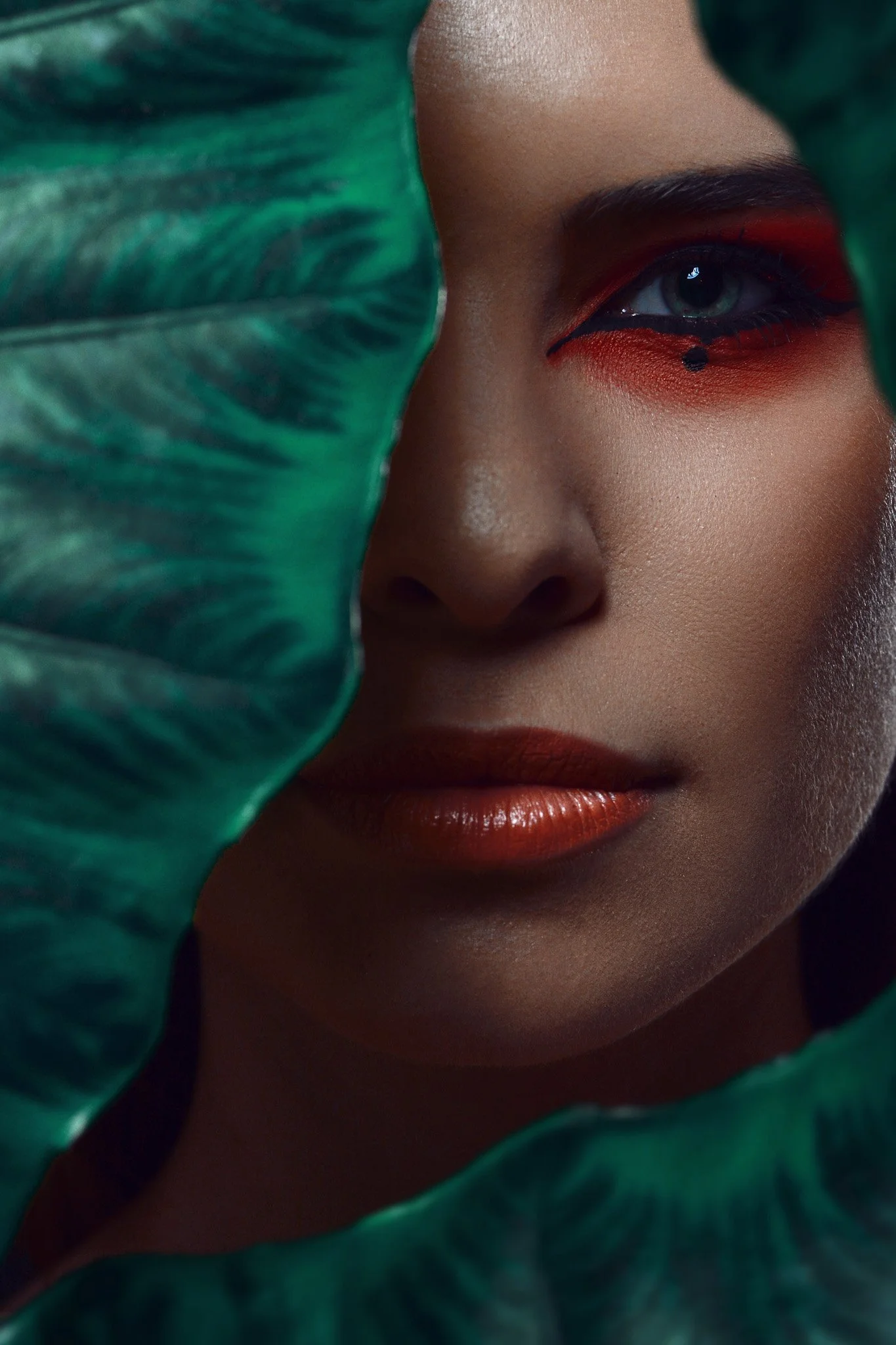 DSC_3780-Crop concept.jpg