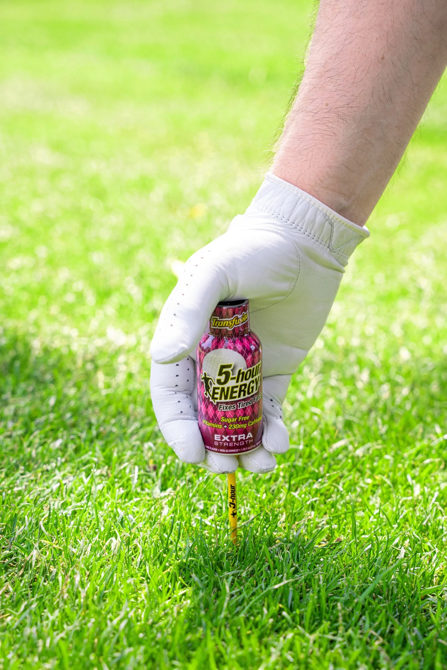 Transfusion 2025-09 edited.jpg