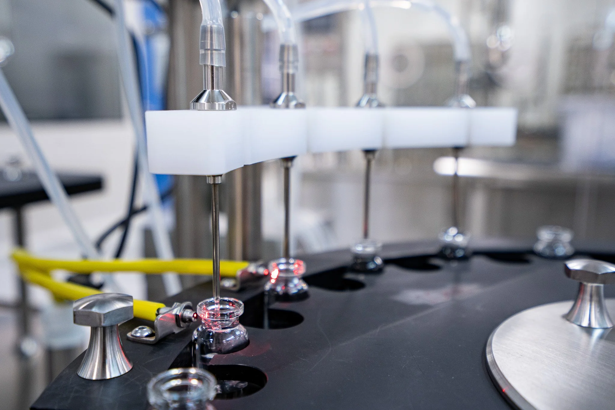 WFI August 2025-022.jpg