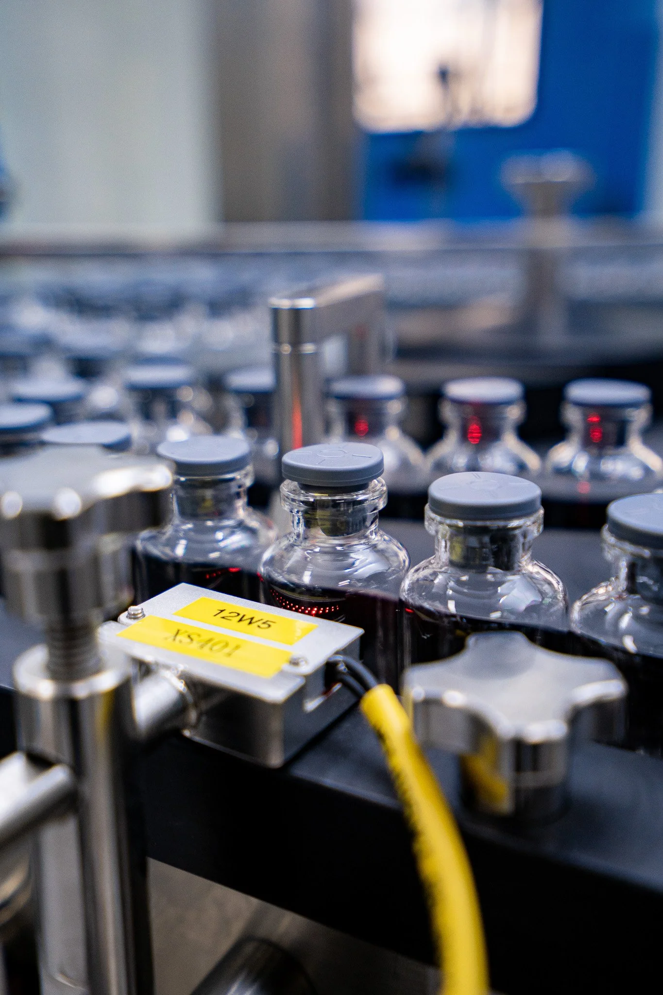 WFI August 2025-079.jpg