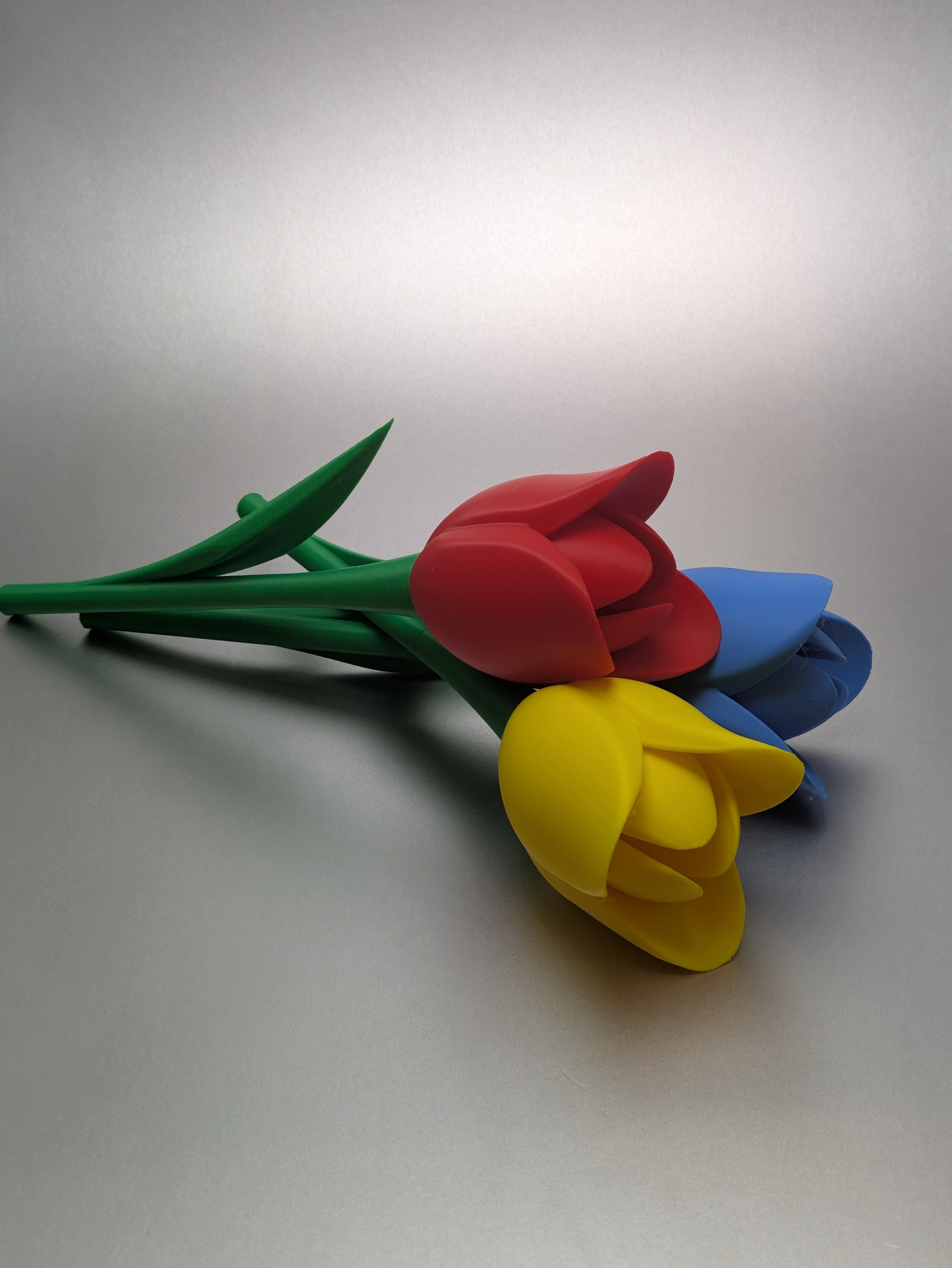 Long Stem Tulip
