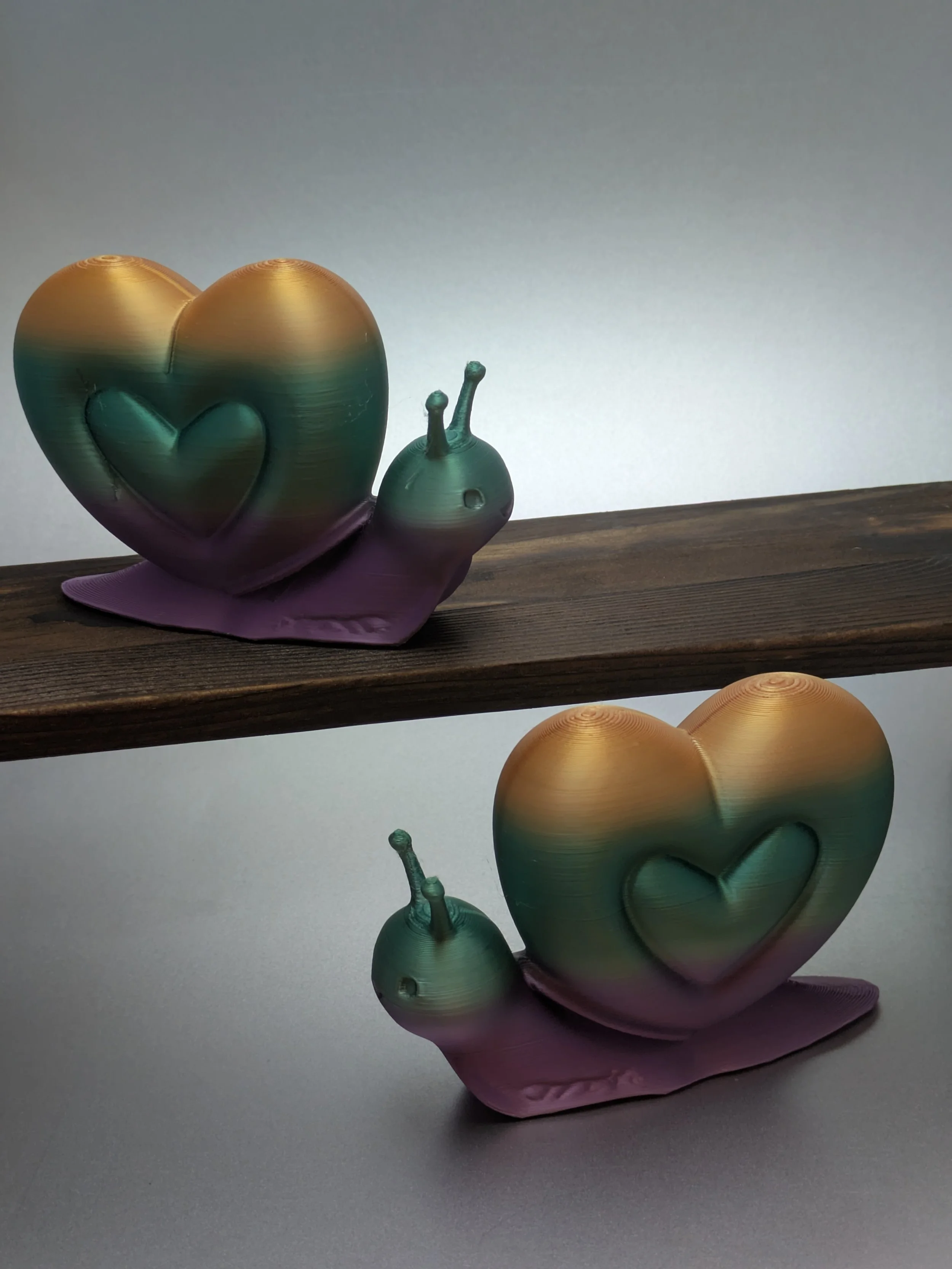 Heart Snail