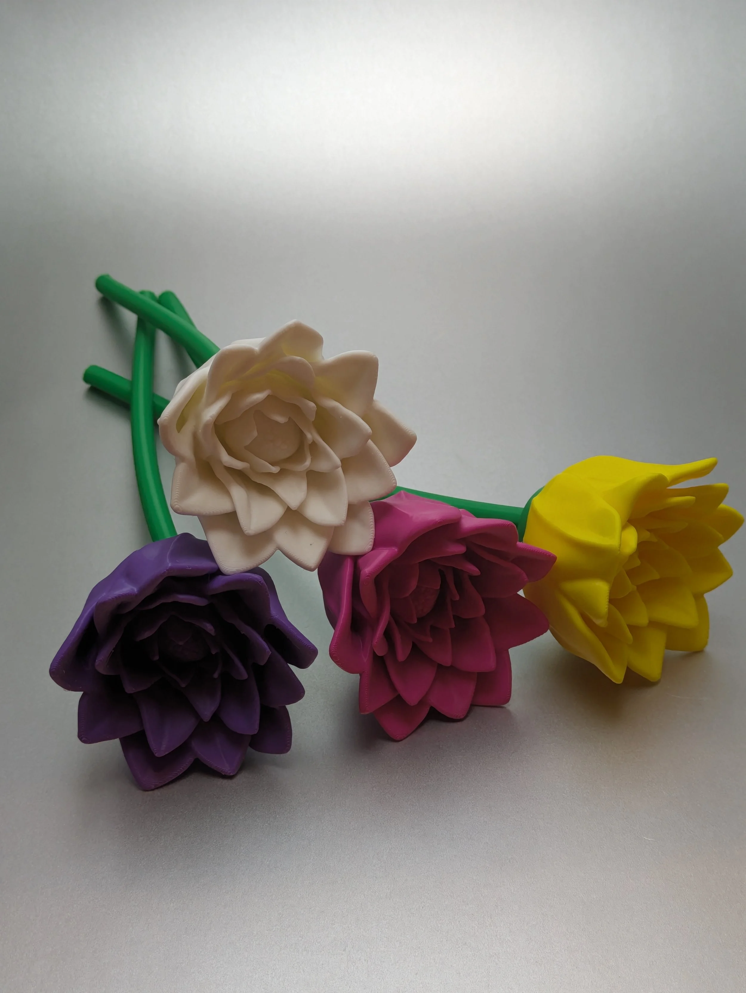 Long Stem Peony