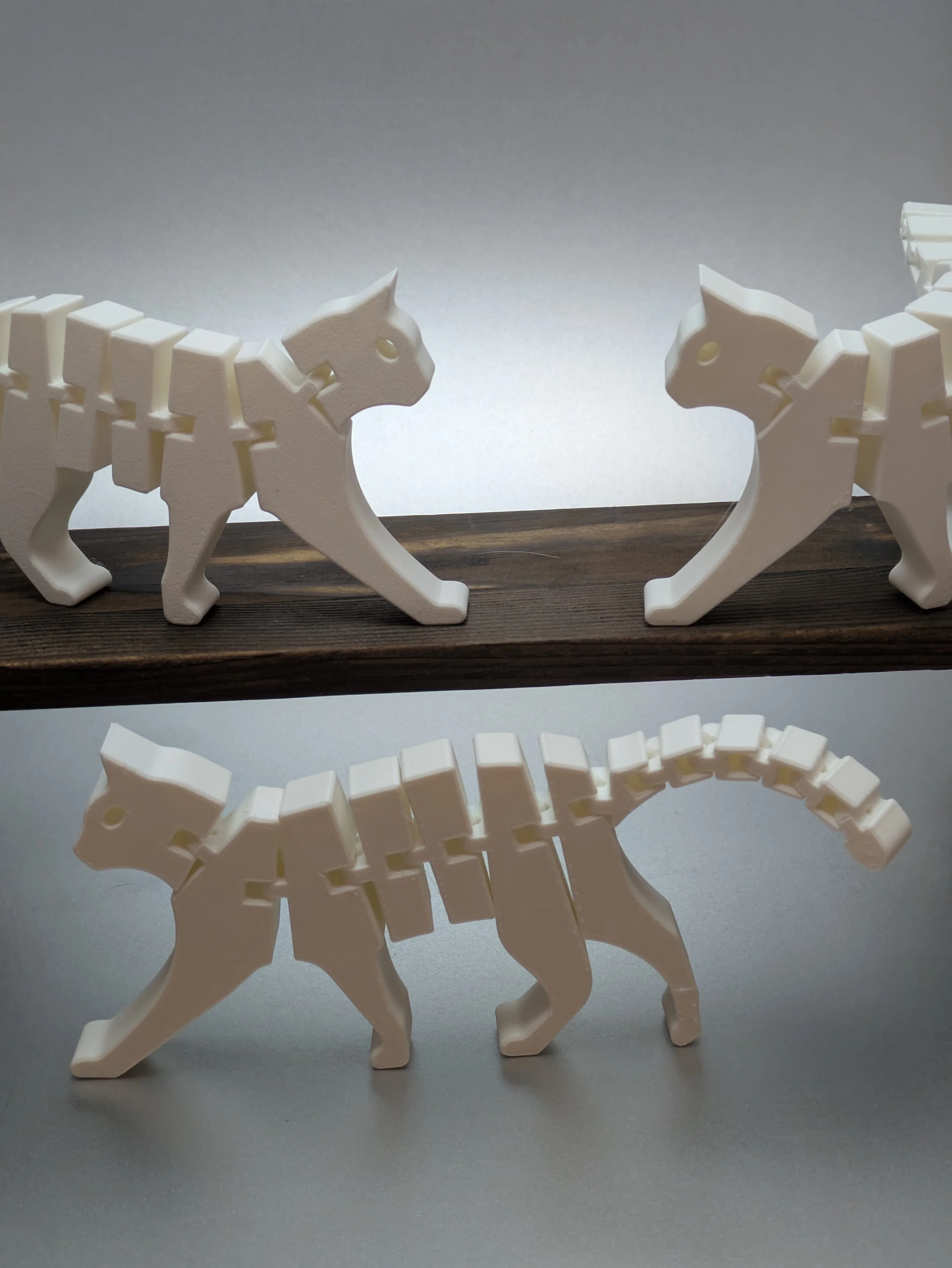 Articulated Cat