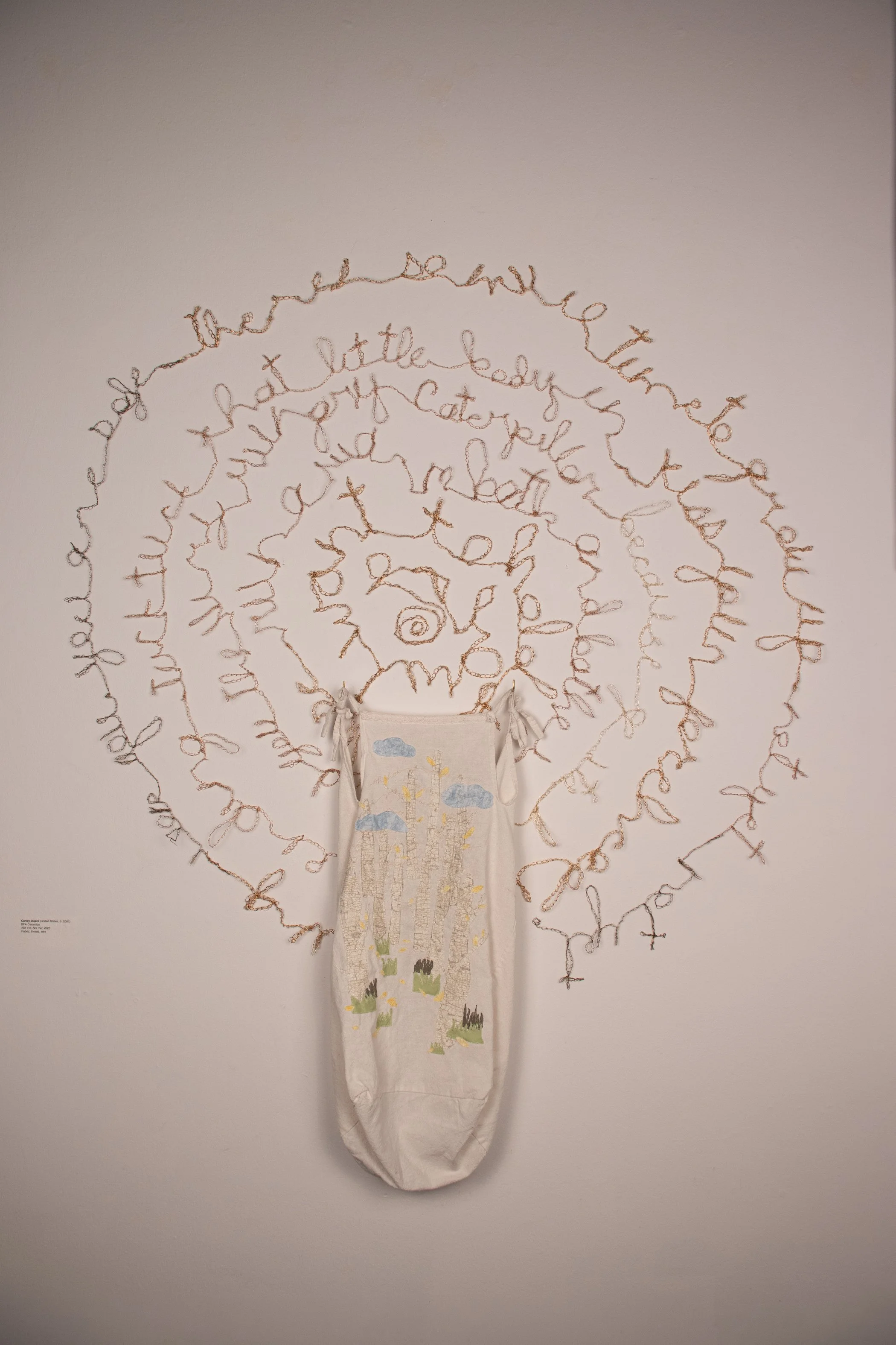 “Not Yet. Not Yet”
2025
Linen, appliquéd scrap fabric, various crocheted metal wires 
58” x 48” x 2”