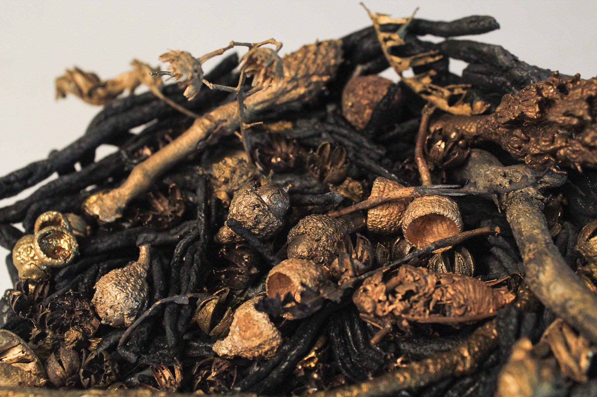 "Molting" (nest - detail)
2025
Saggar-fired ceramic, bronze-cast organic material