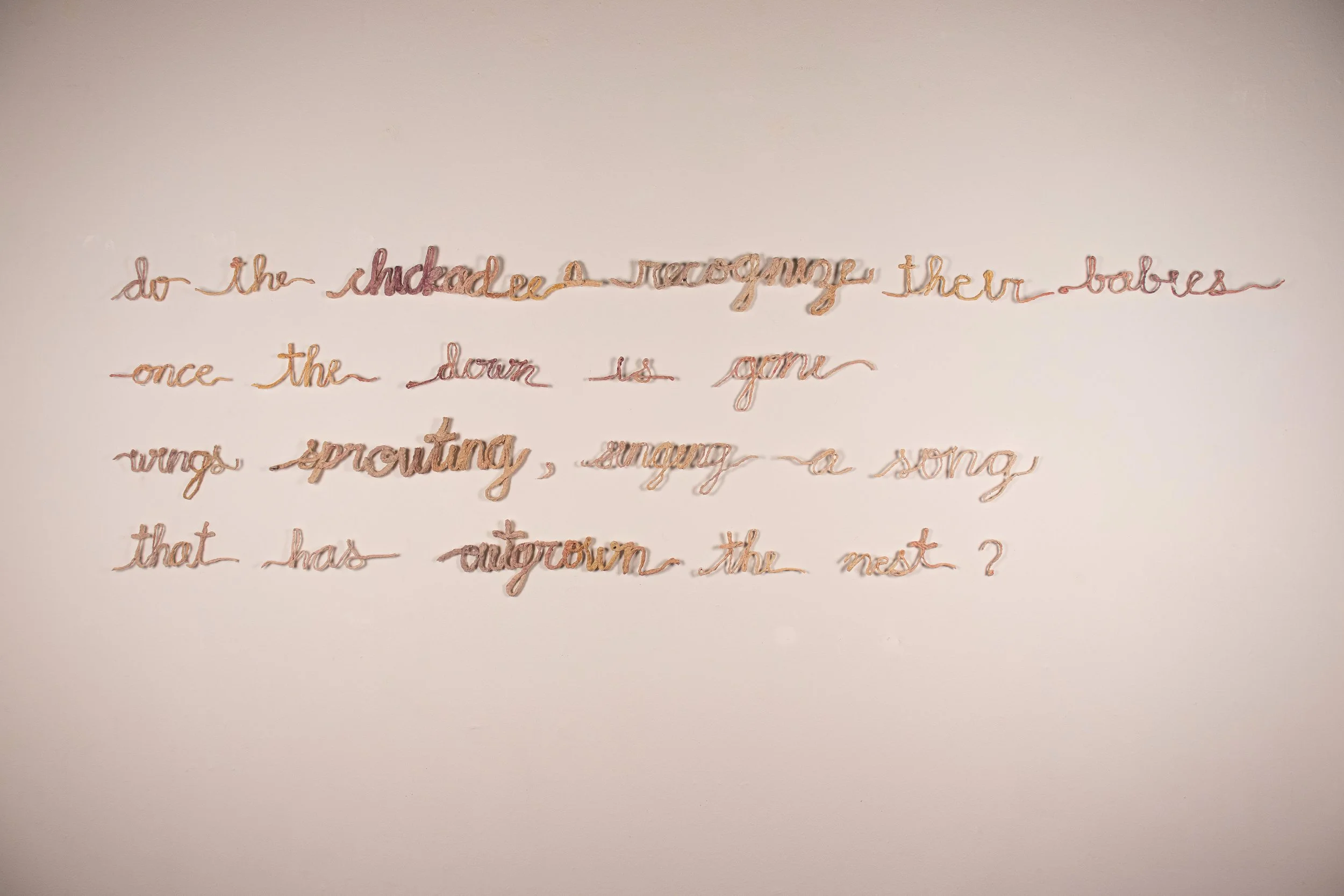 "Molting" (poem - left) 
2025
Slip-cast crocheted yarn, water color paint
84” x 25”