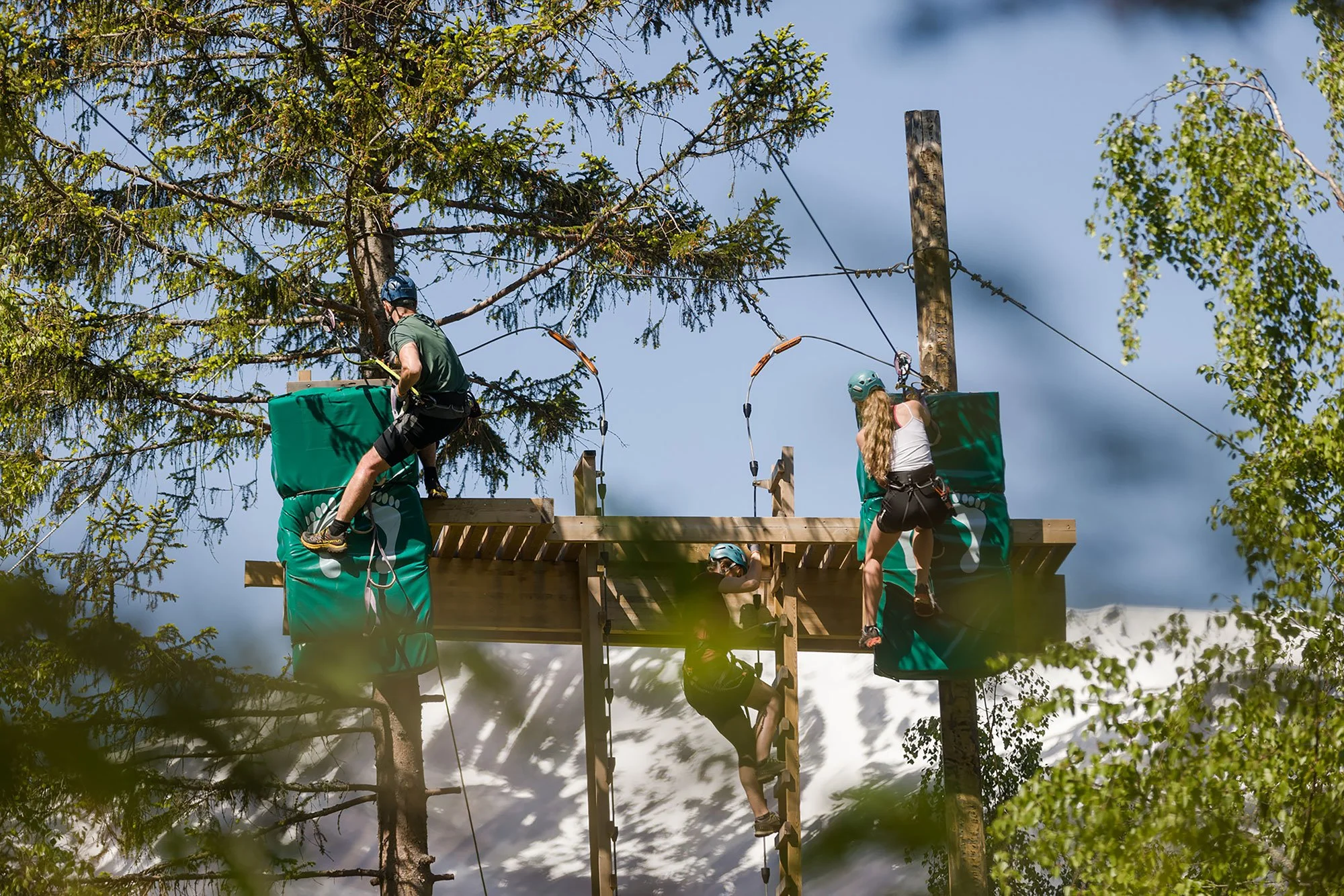 People zip lining through a forested area with snow-capped mountains in the background.