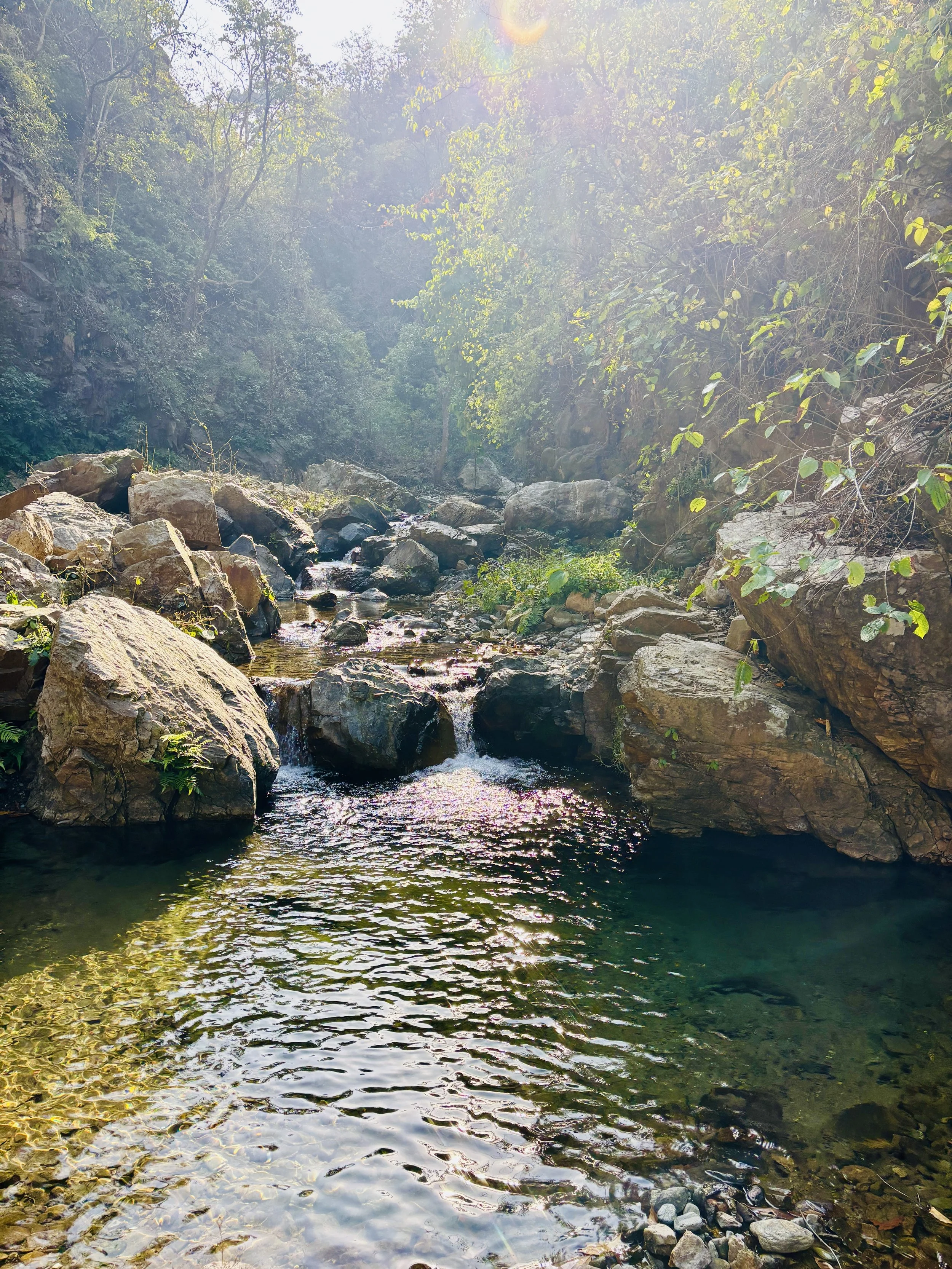 The True power of integration: A holistic path to enduring change