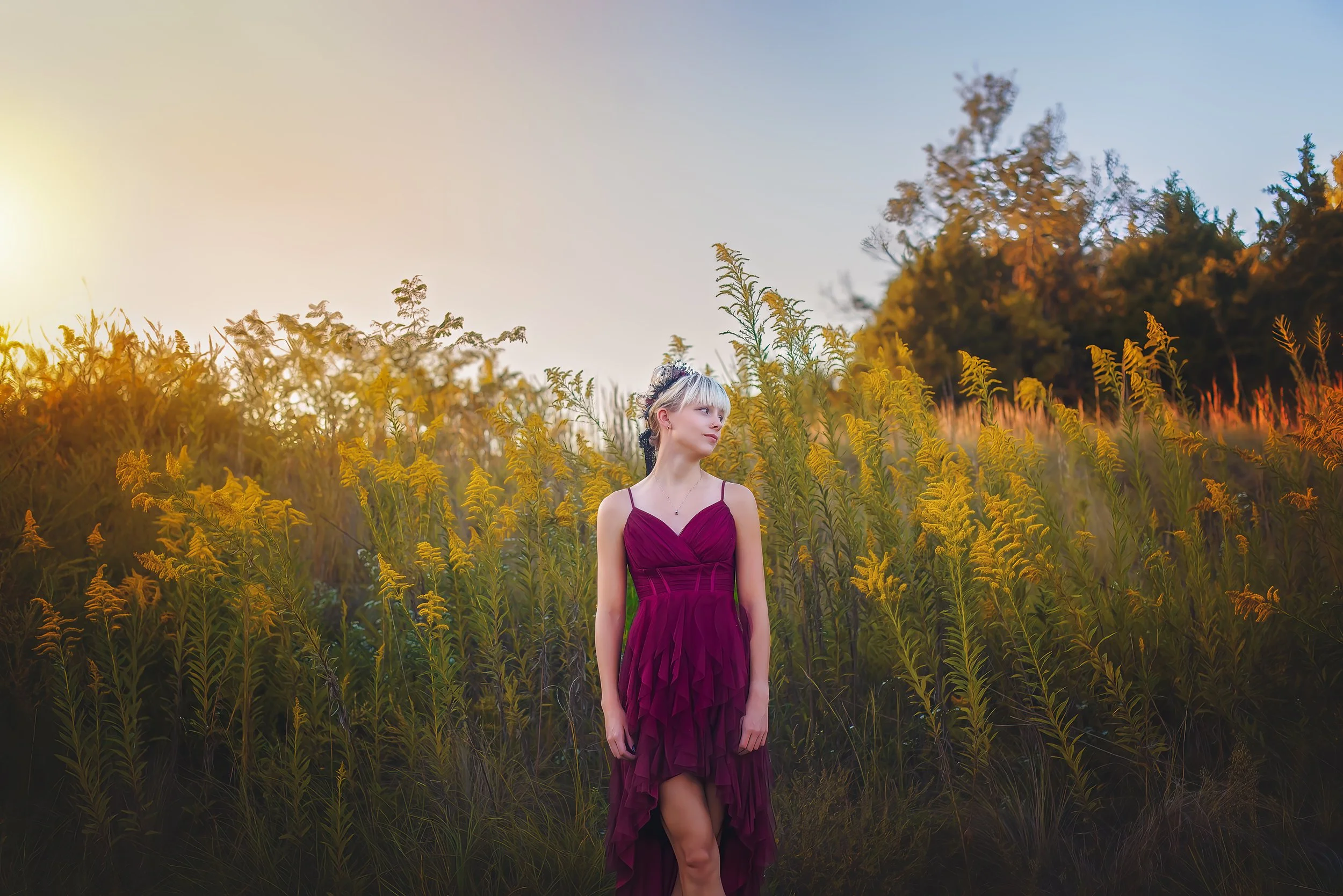 charlotte-nc-senior-portraits-harrisburg-field-goldenrod