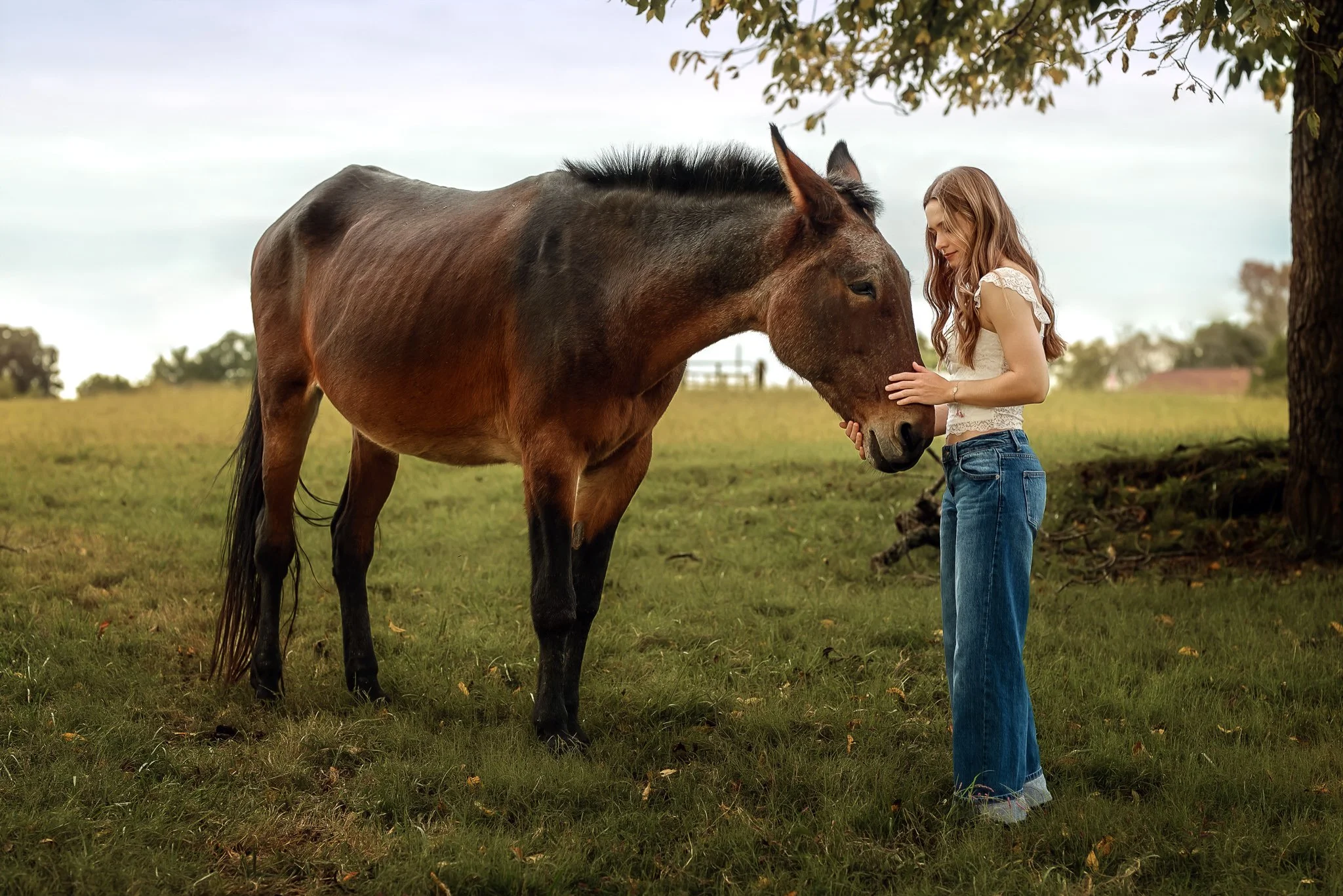 reagan-horse-senior-session-mount-pleasant.2.jpg