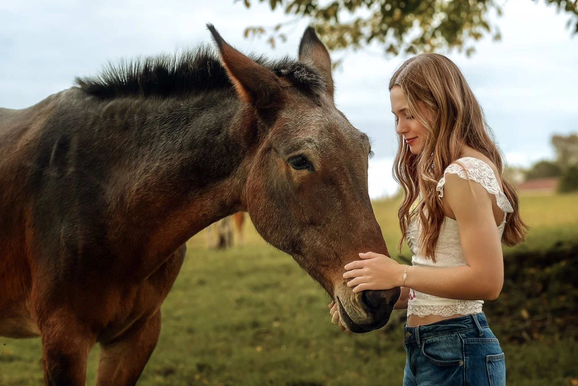 senior-photos-charlotte-pets.3.jpg