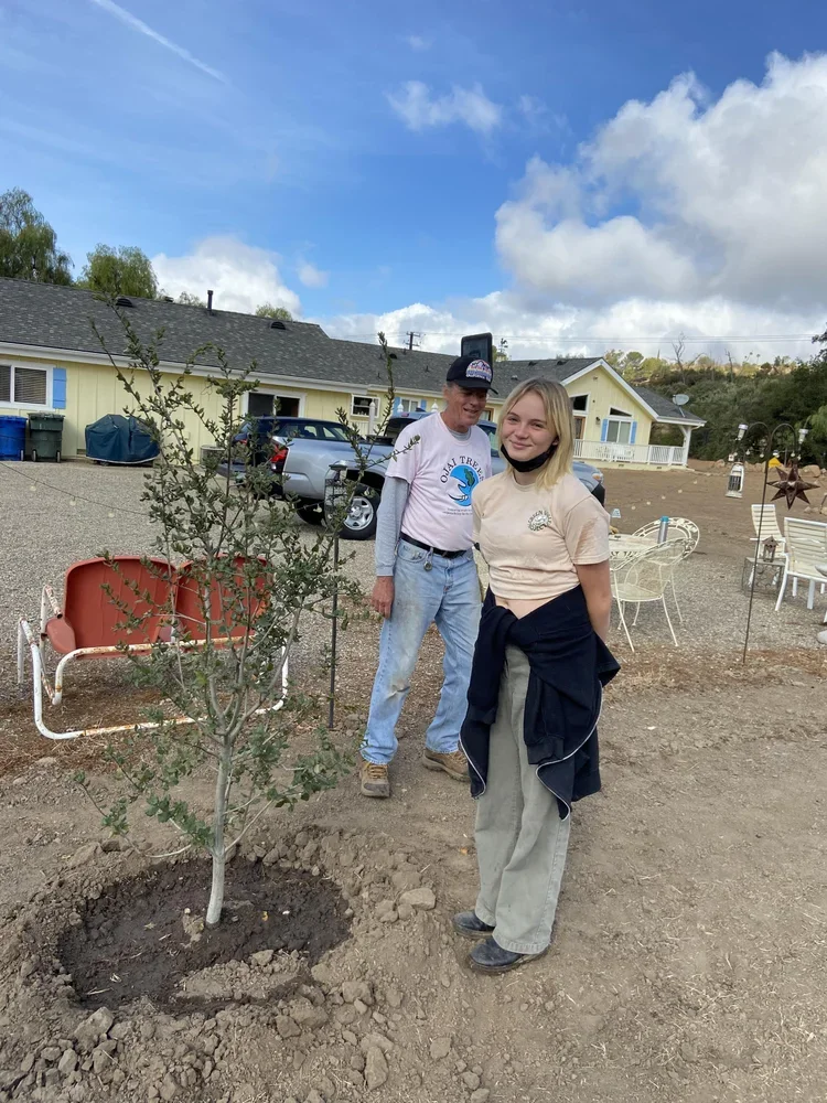 Newly planted native oak with Ojai Trees volunteers